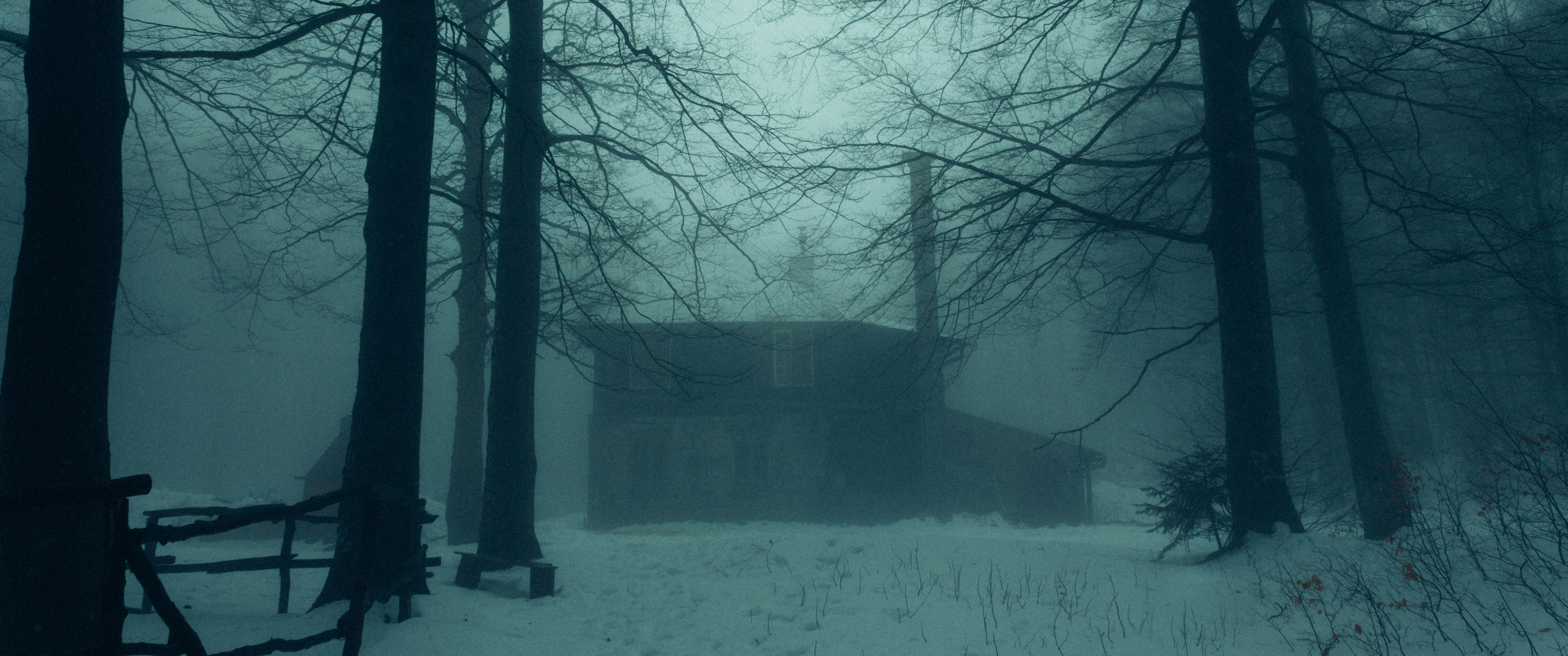 Why Quantum Biology Will Redefine Cellular Machinery