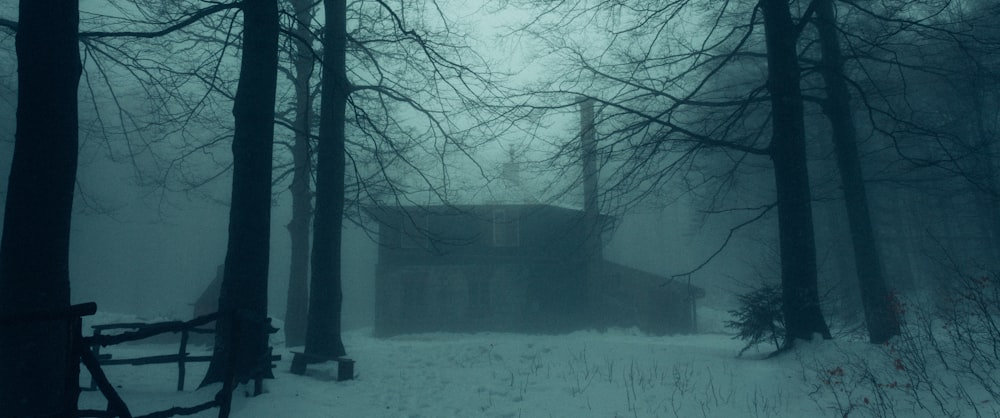 a house in the woods on a snowy day