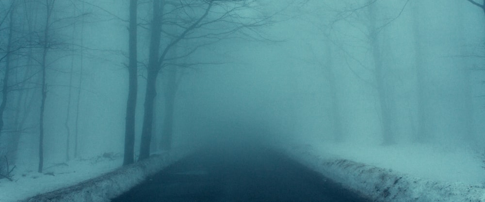 a road in the middle of a forest covered in snow