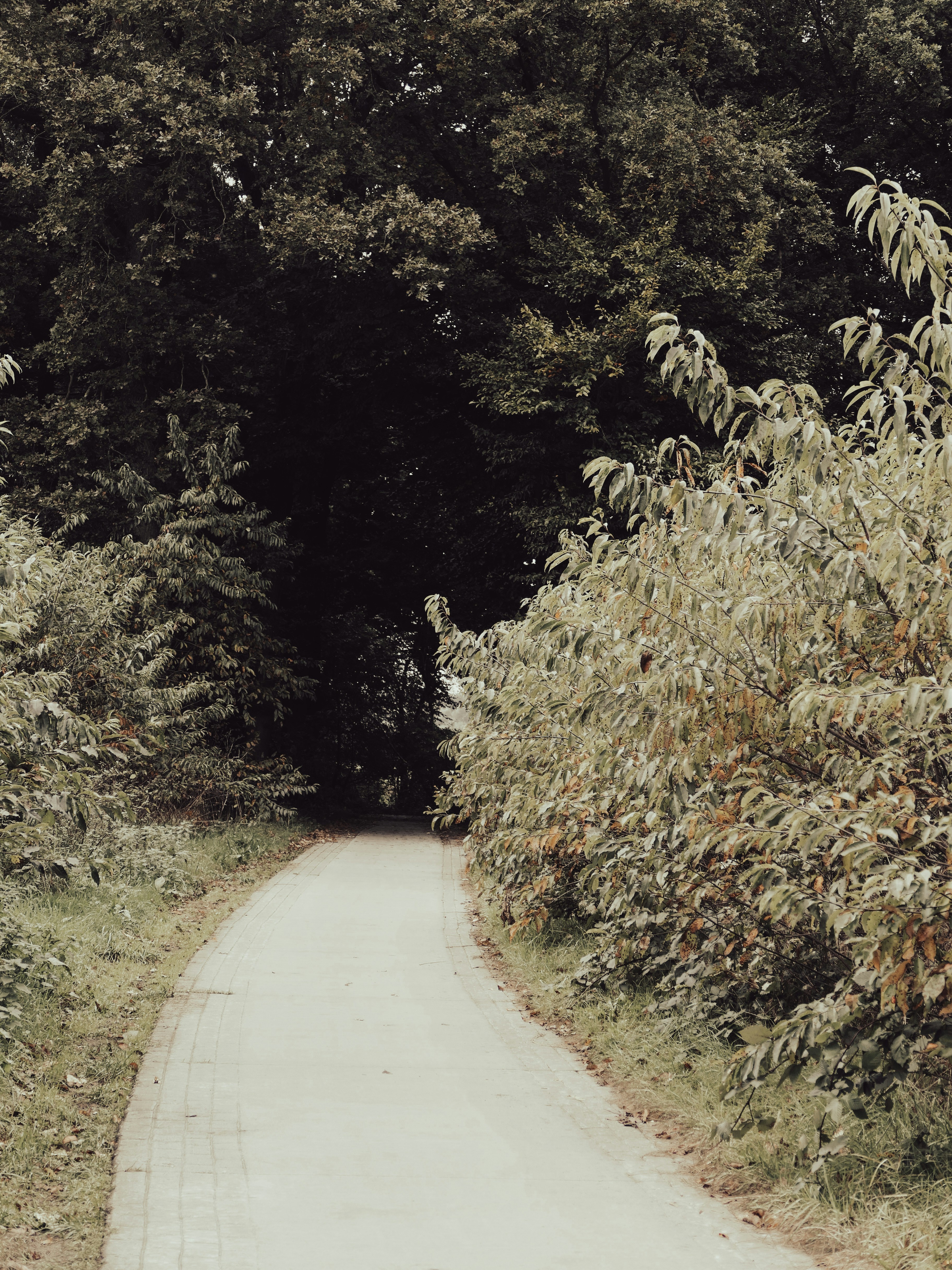 Photo by beauty_van_stam