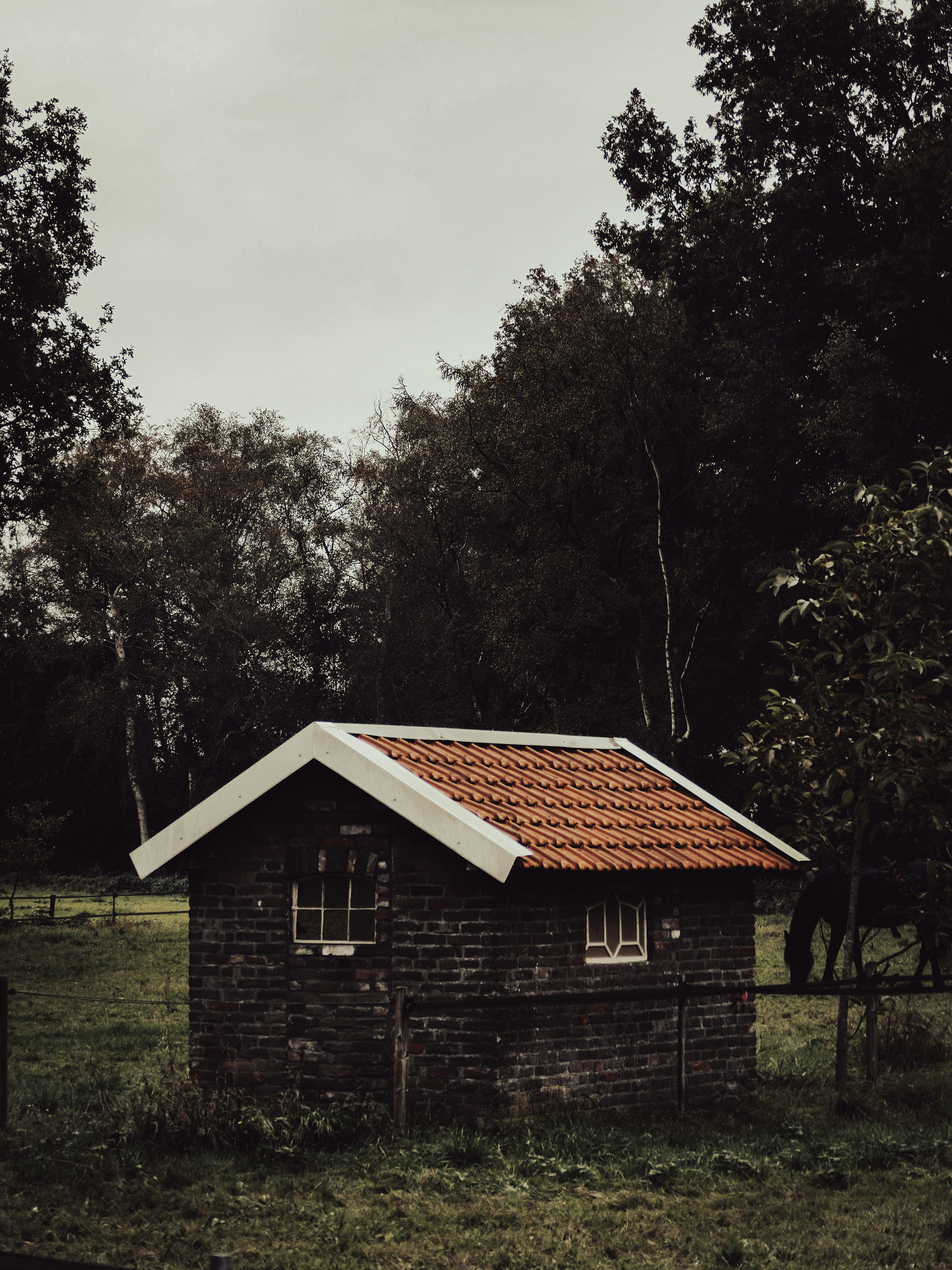 Photo by beauty_van_stam