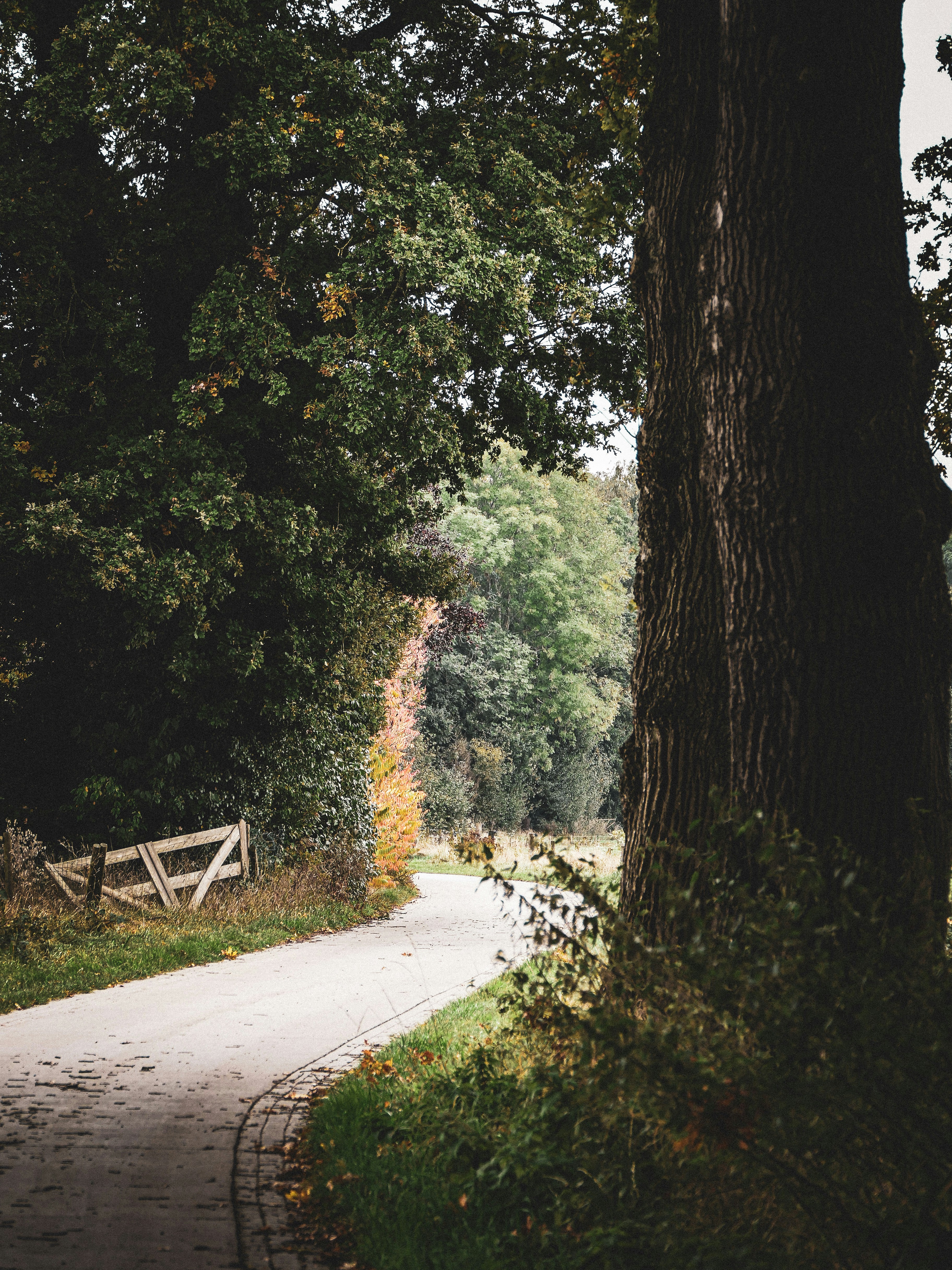 Photo by beauty_van_stam