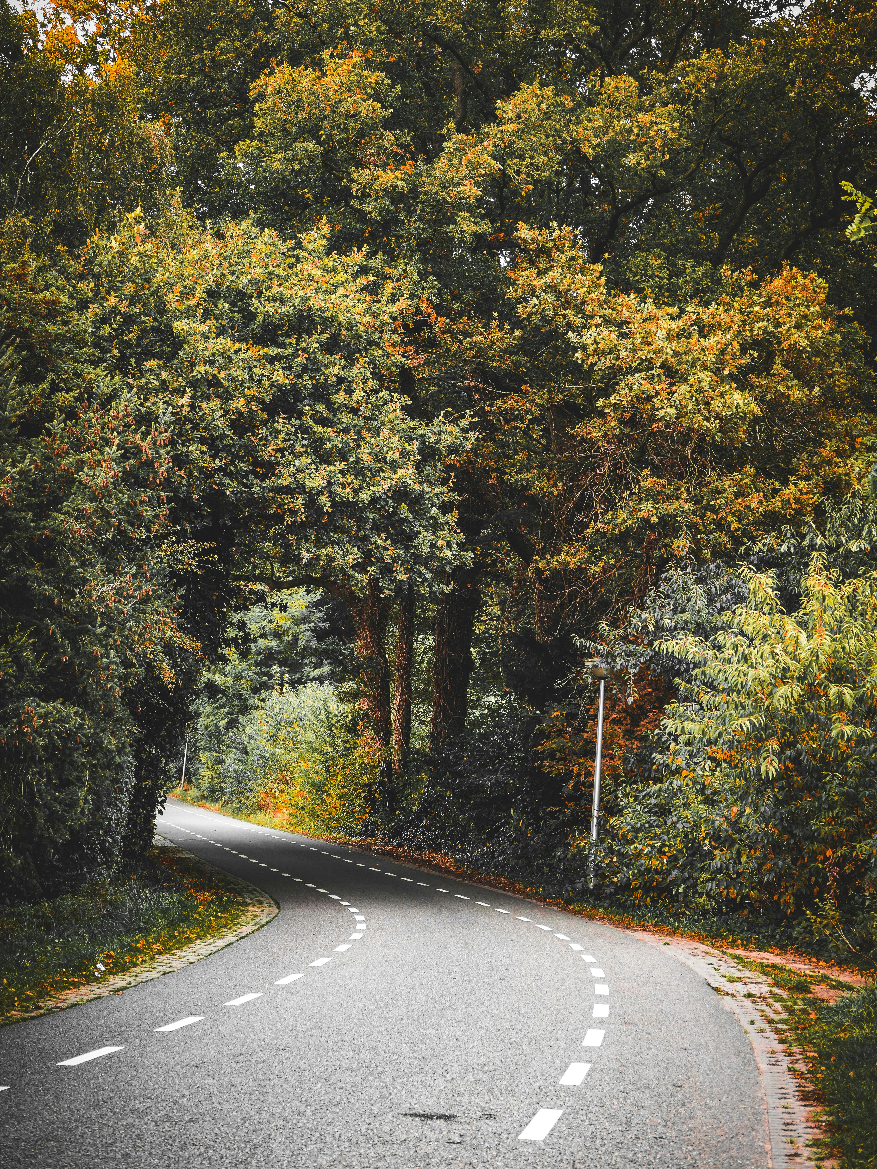 Photo by beauty_van_stam