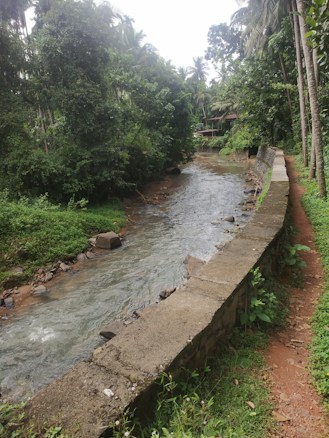 A serene natural landscape featuring a narrow stream flowing through a lush green forest. The stream is bordered by a stone wall and lined with rocks. Tall trees and dense foliage surround the area, and a small building with a roof can be seen in the background.