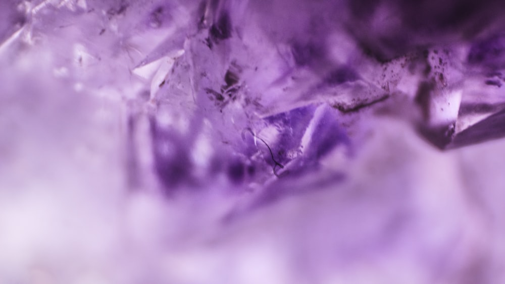 a close up view of a purple substance