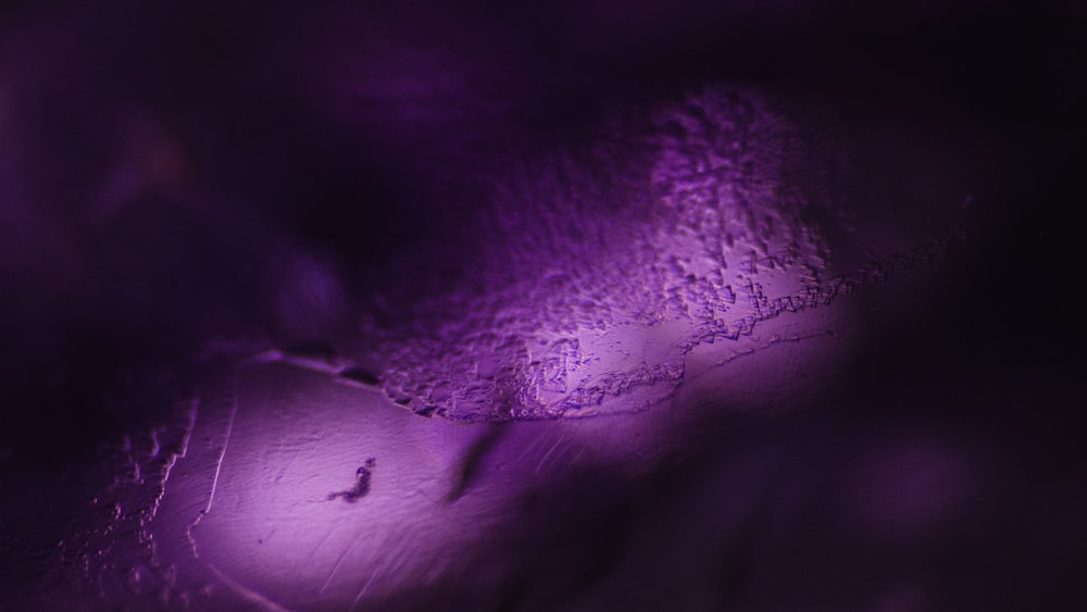 a blurry photo of a purple light
