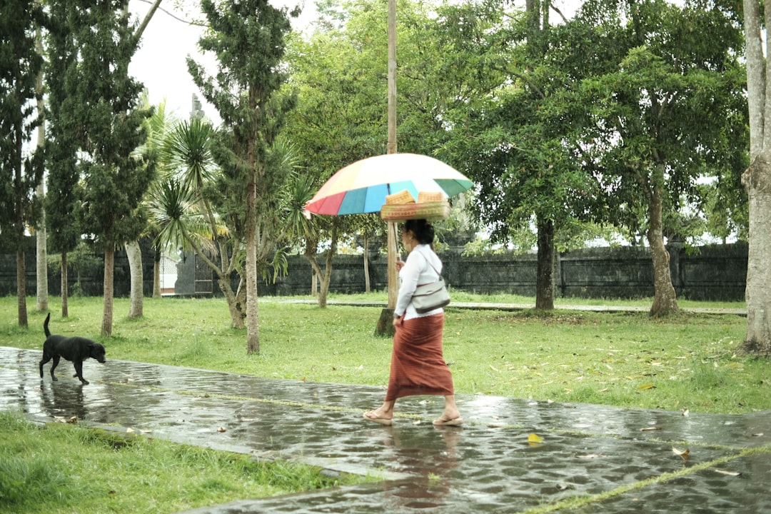 Lady walking her dog in the rain, using an umbrella to keep dry