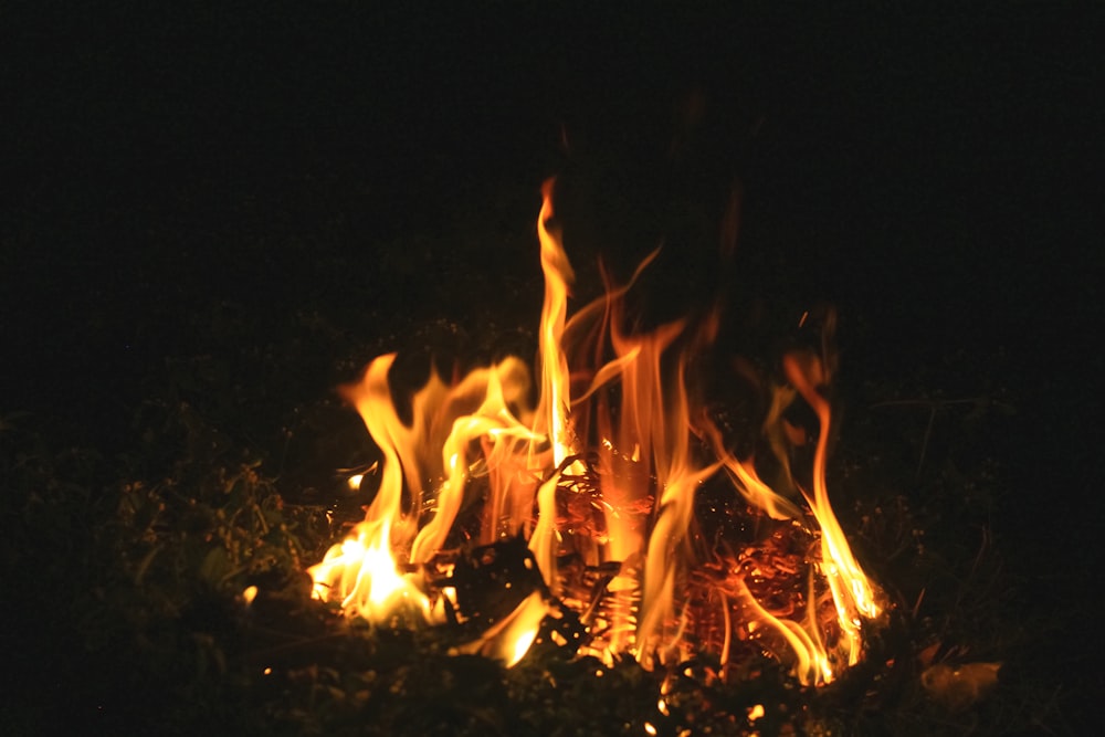 a close up of a fire in the dark