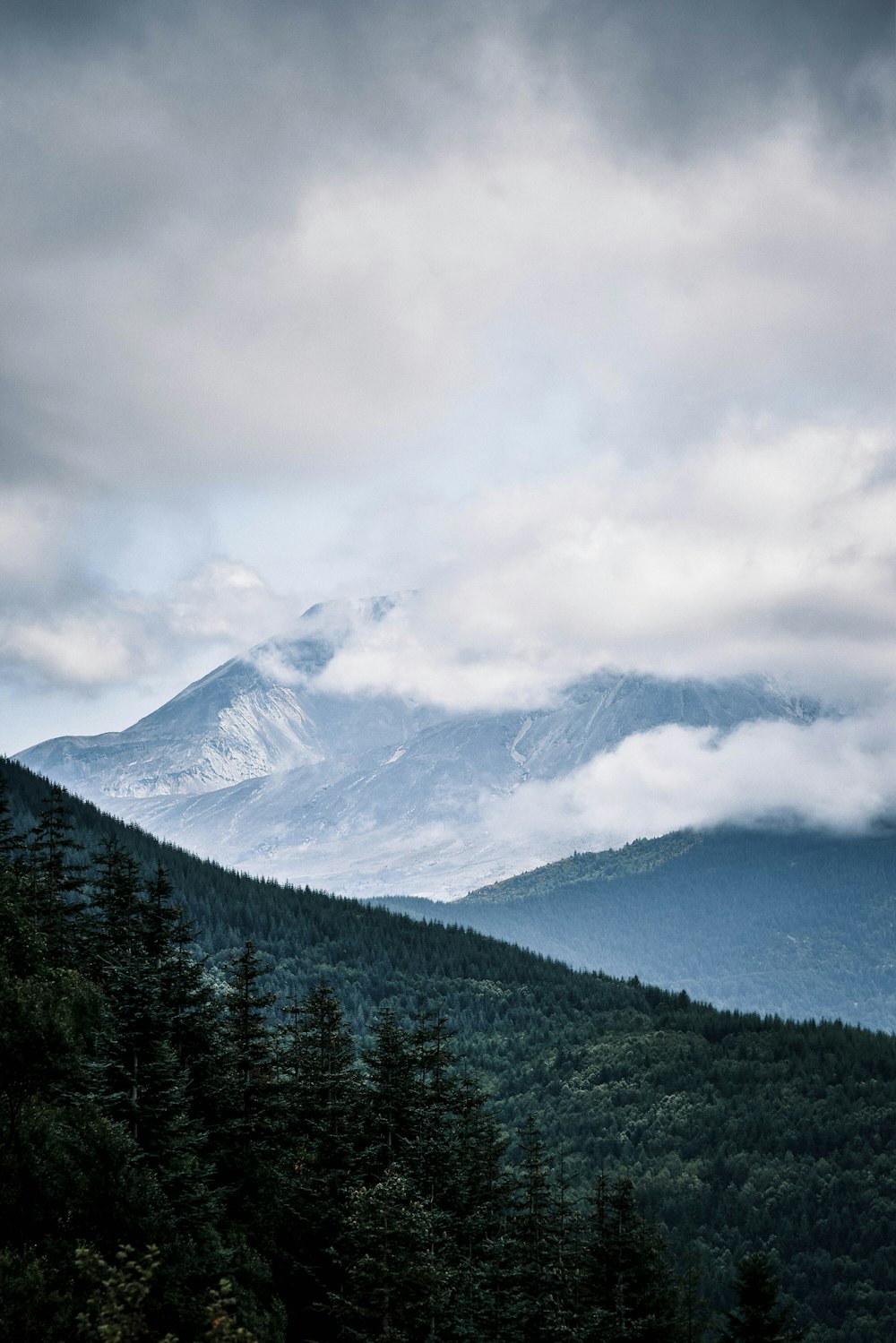 Blick auf eine Bergkette mit Bäumen im Vordergrund