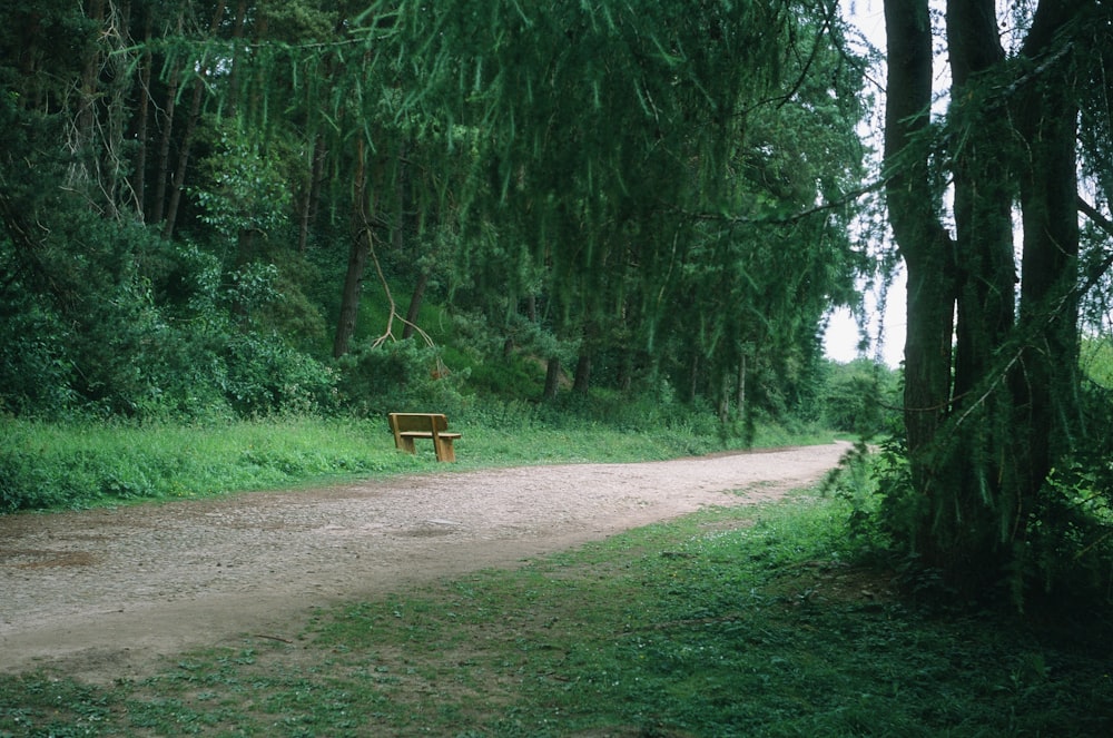 a bench sitting on a dirt road in the middle of a forest