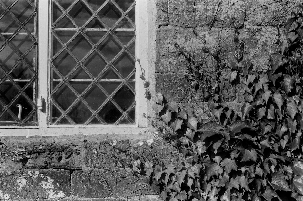 a black and white photo of a window