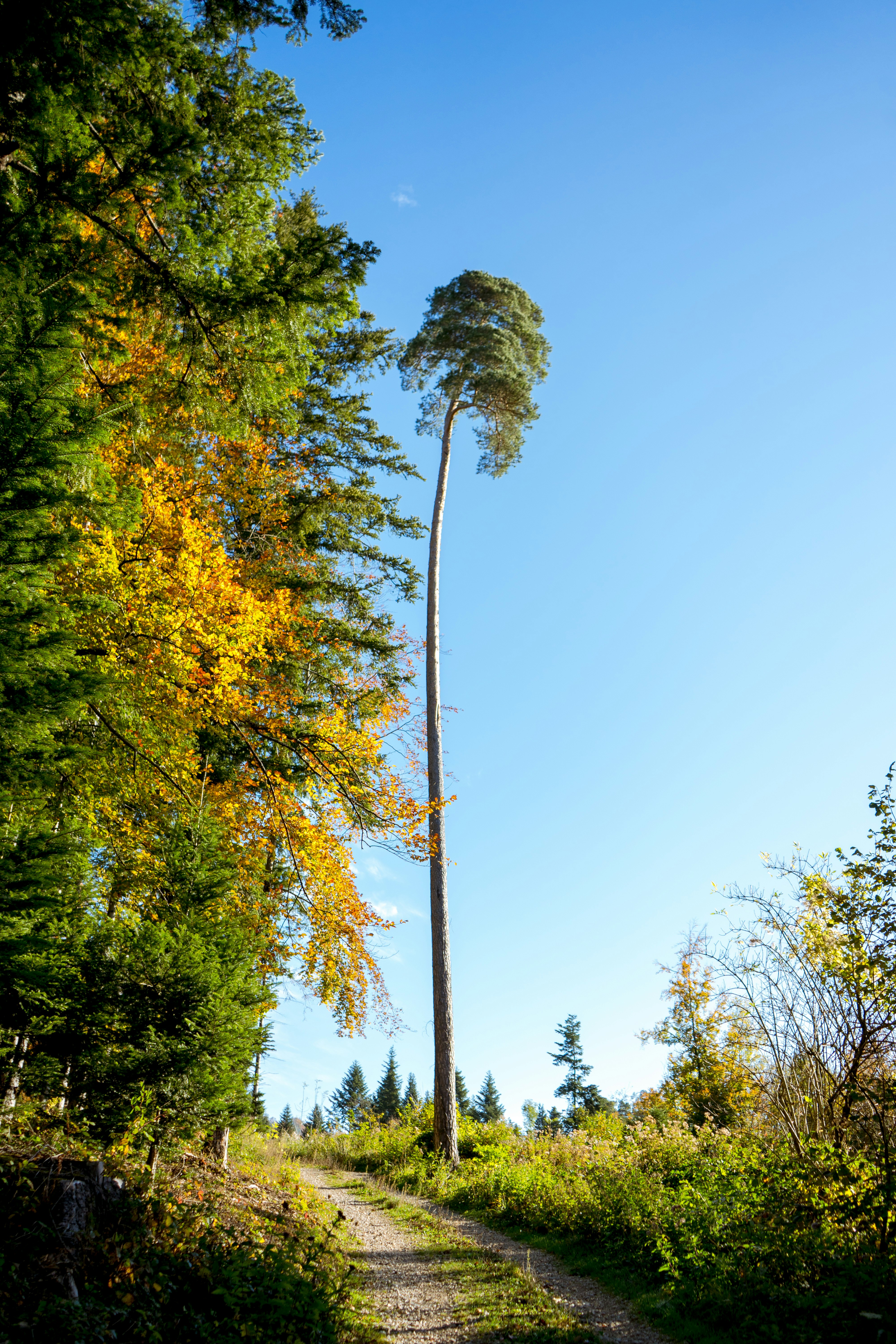 Photo by virussinside