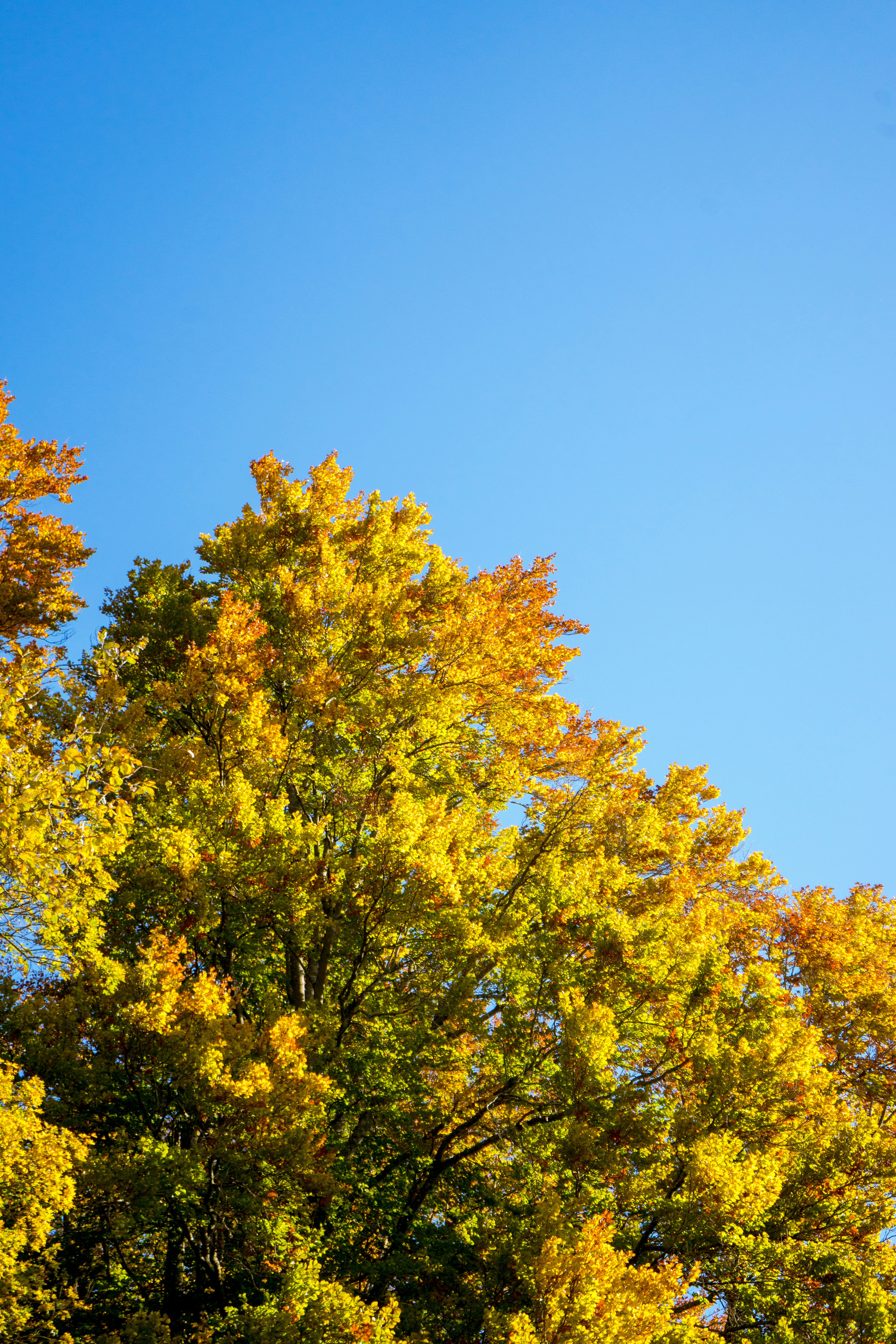 Photo by virussinside