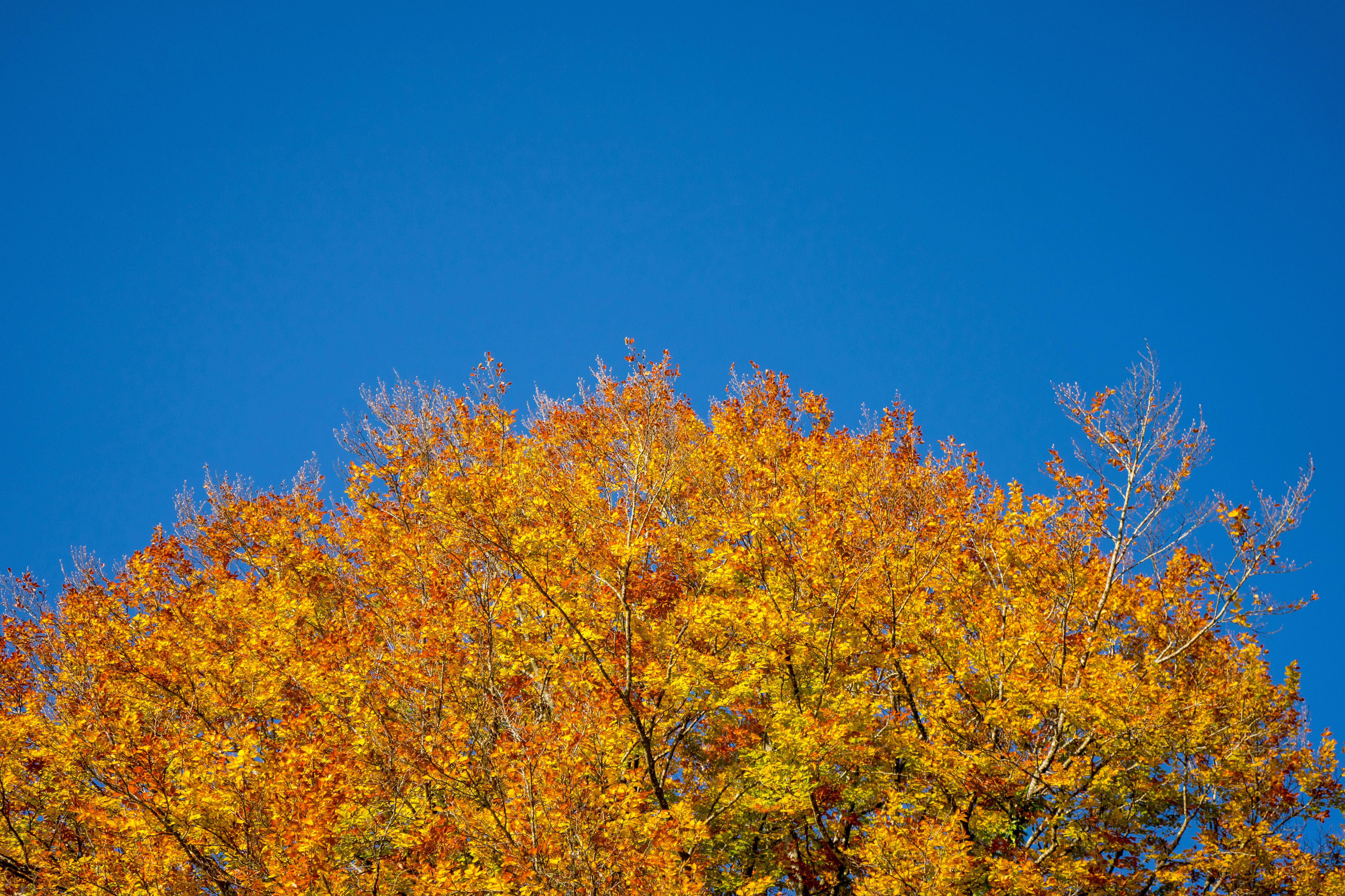 Photo by virussinside