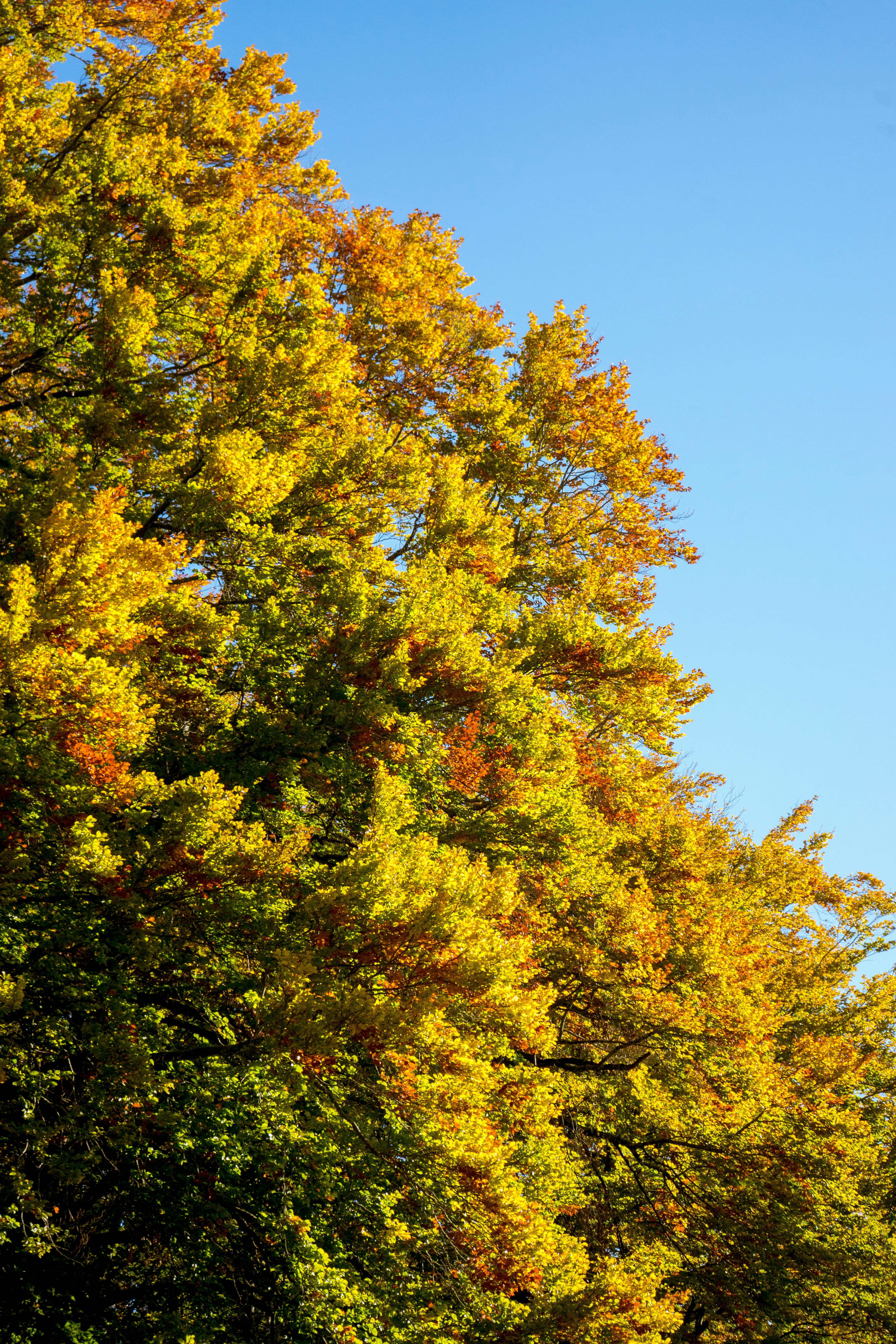 Photo by virussinside