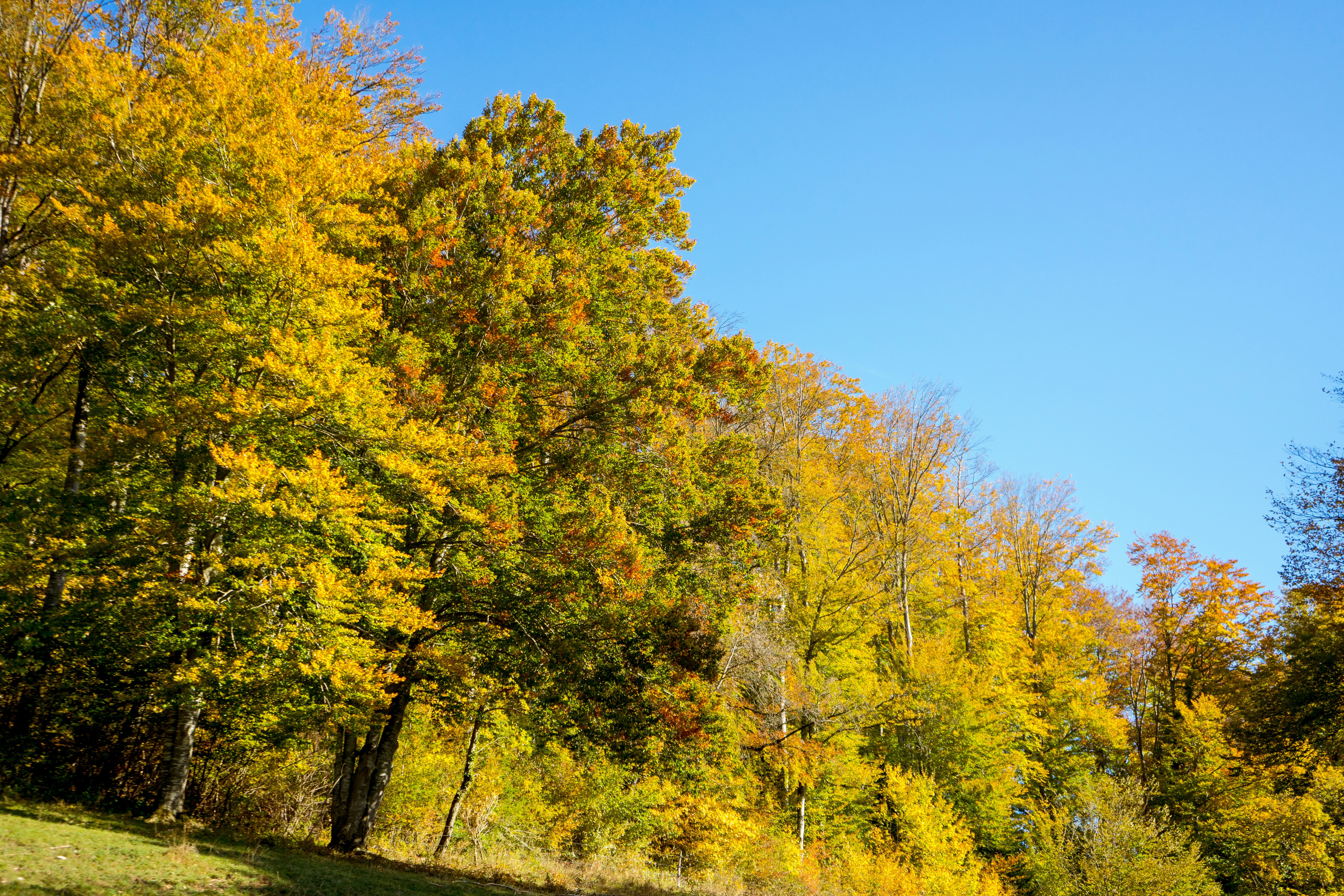 Photo by virussinside