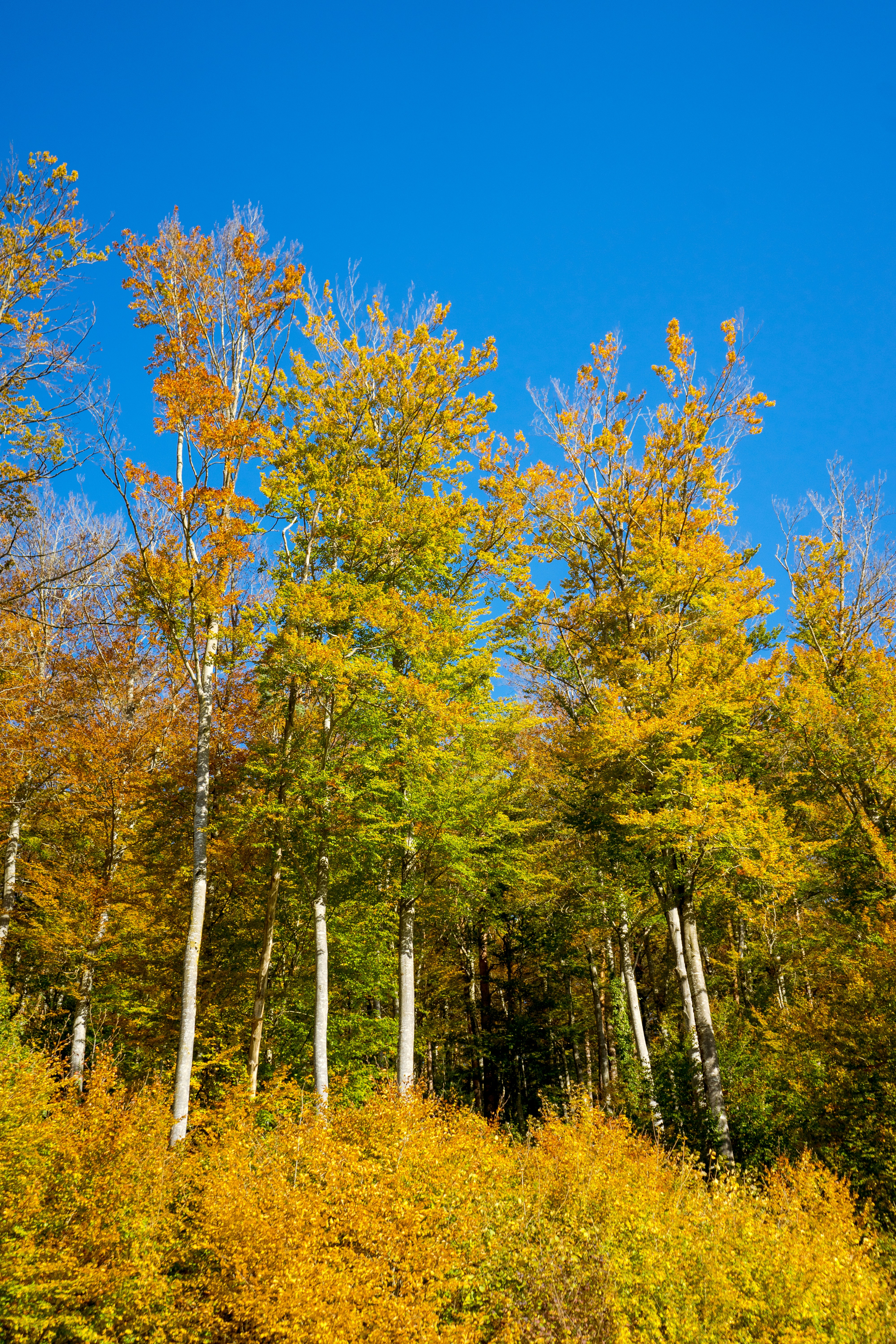 Photo by virussinside