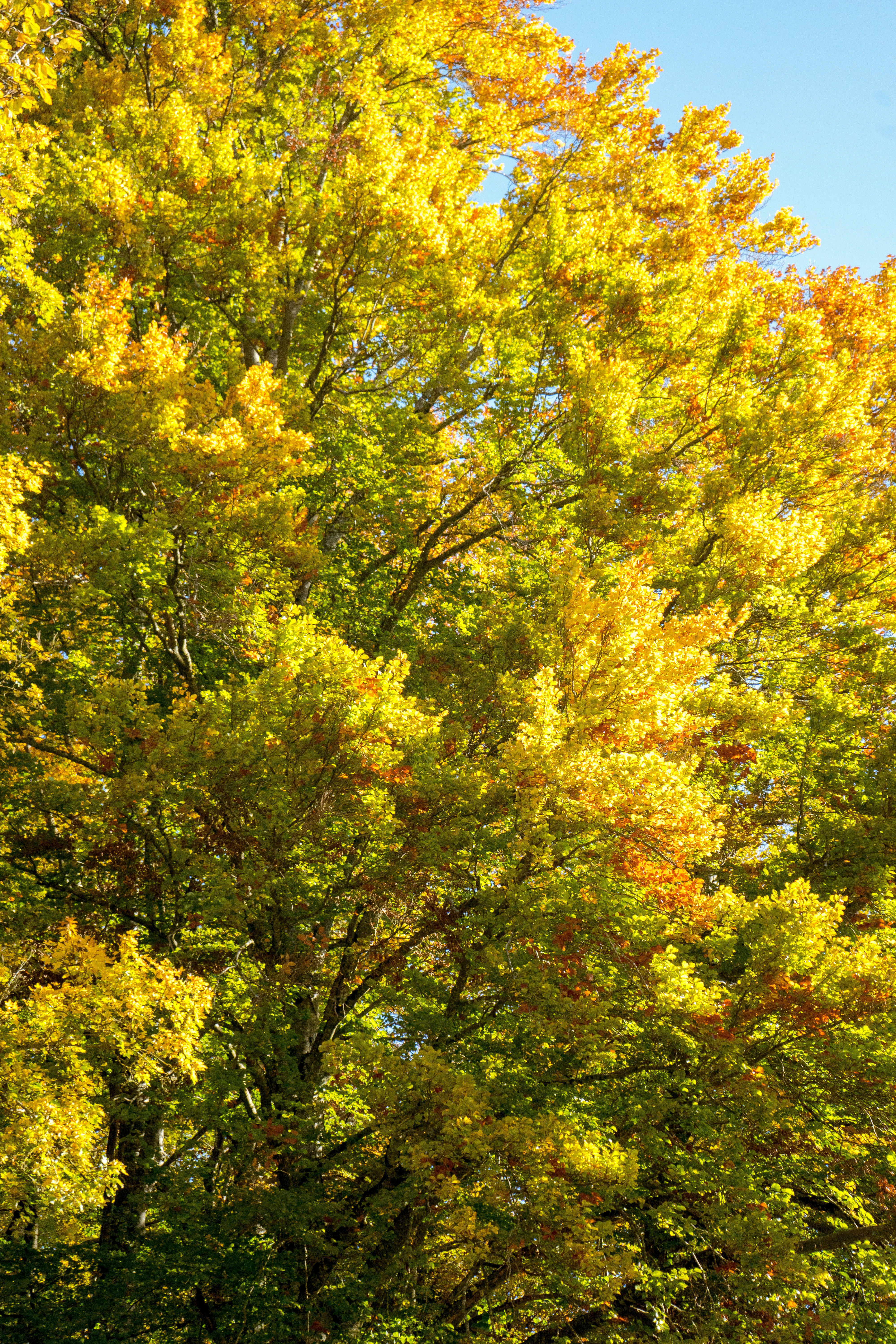 Photo by virussinside