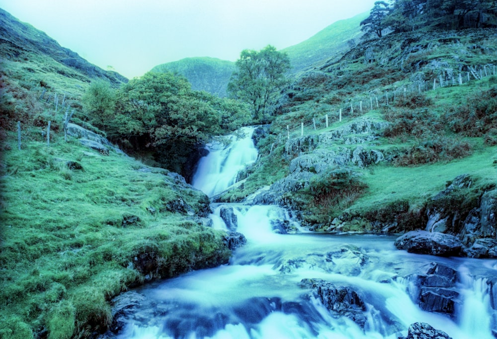 a stream running through a lush green hillside