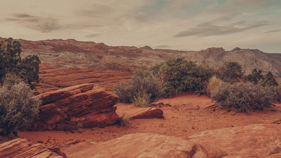 The image depicts a desert landscape with a large rock formation on the left side, surrounded by shrubs and bushes. The sky above is filled with clouds, casting a soft light over the scene. The colors in the image are predominantly red, brown, and green, reflecting the natural hues of the desert environment.