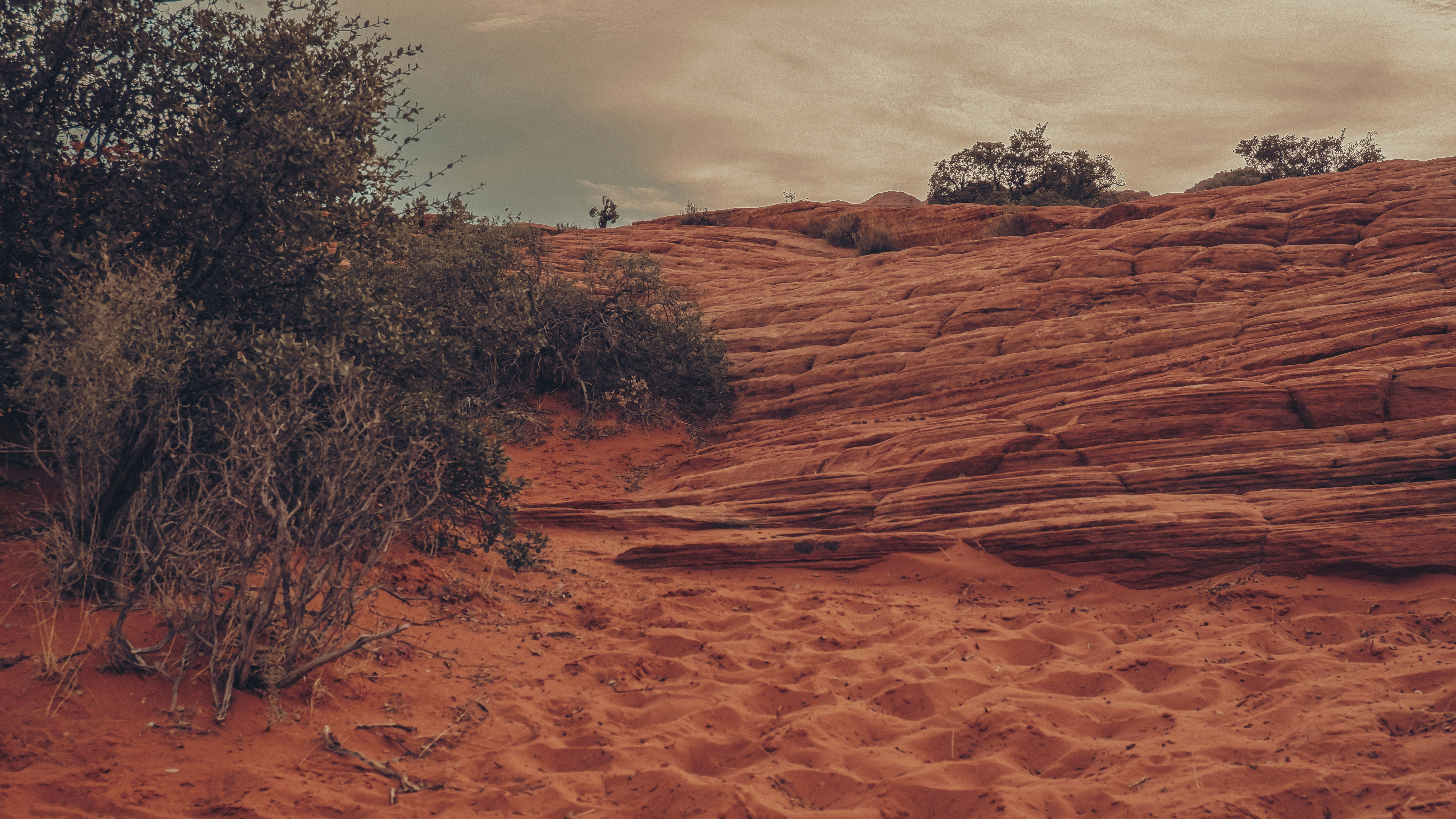 a dirt path in the middle of a desert