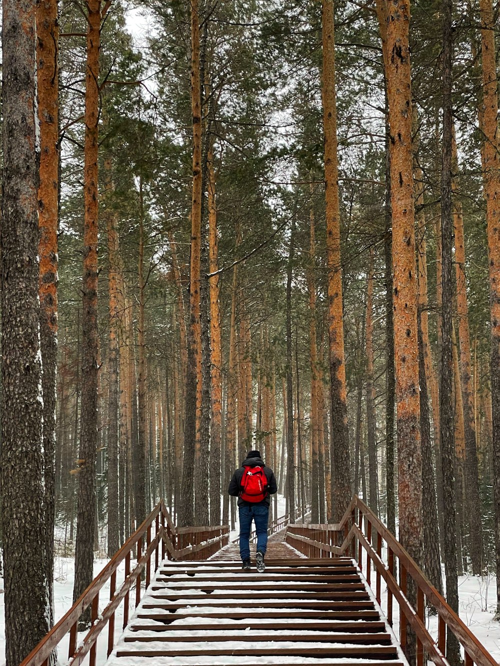 a person walking across a bridge in the woods