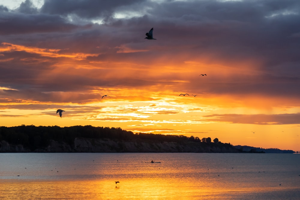 a sunset with birds flying over a body of water