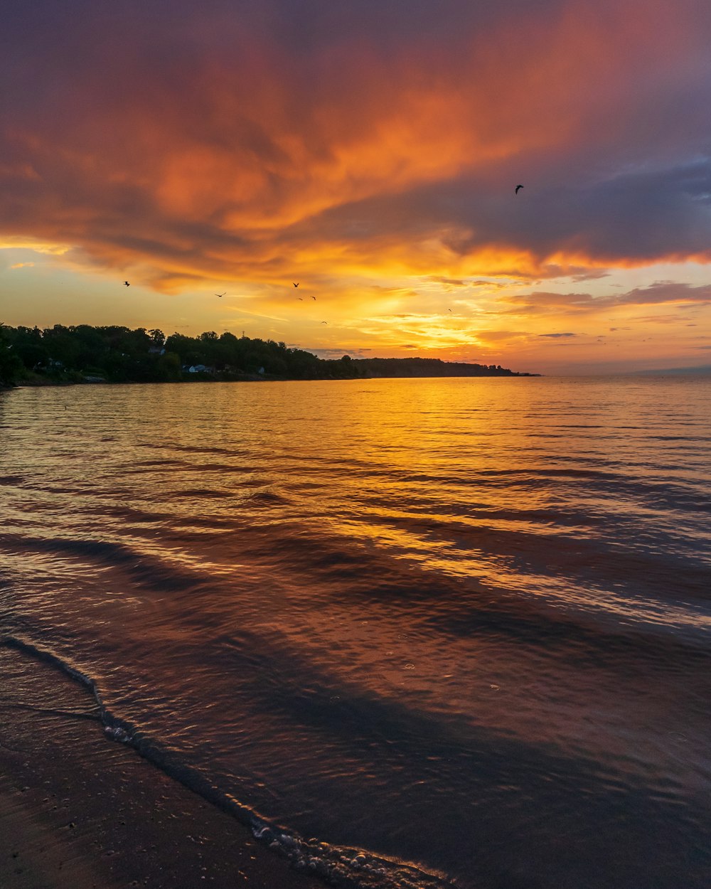 a sunset view of a beach with waves coming in