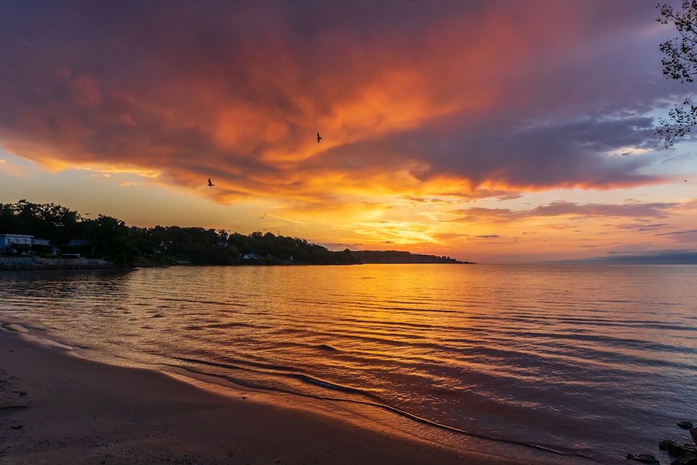 a sunset view of a beach with a bird flying in the sky