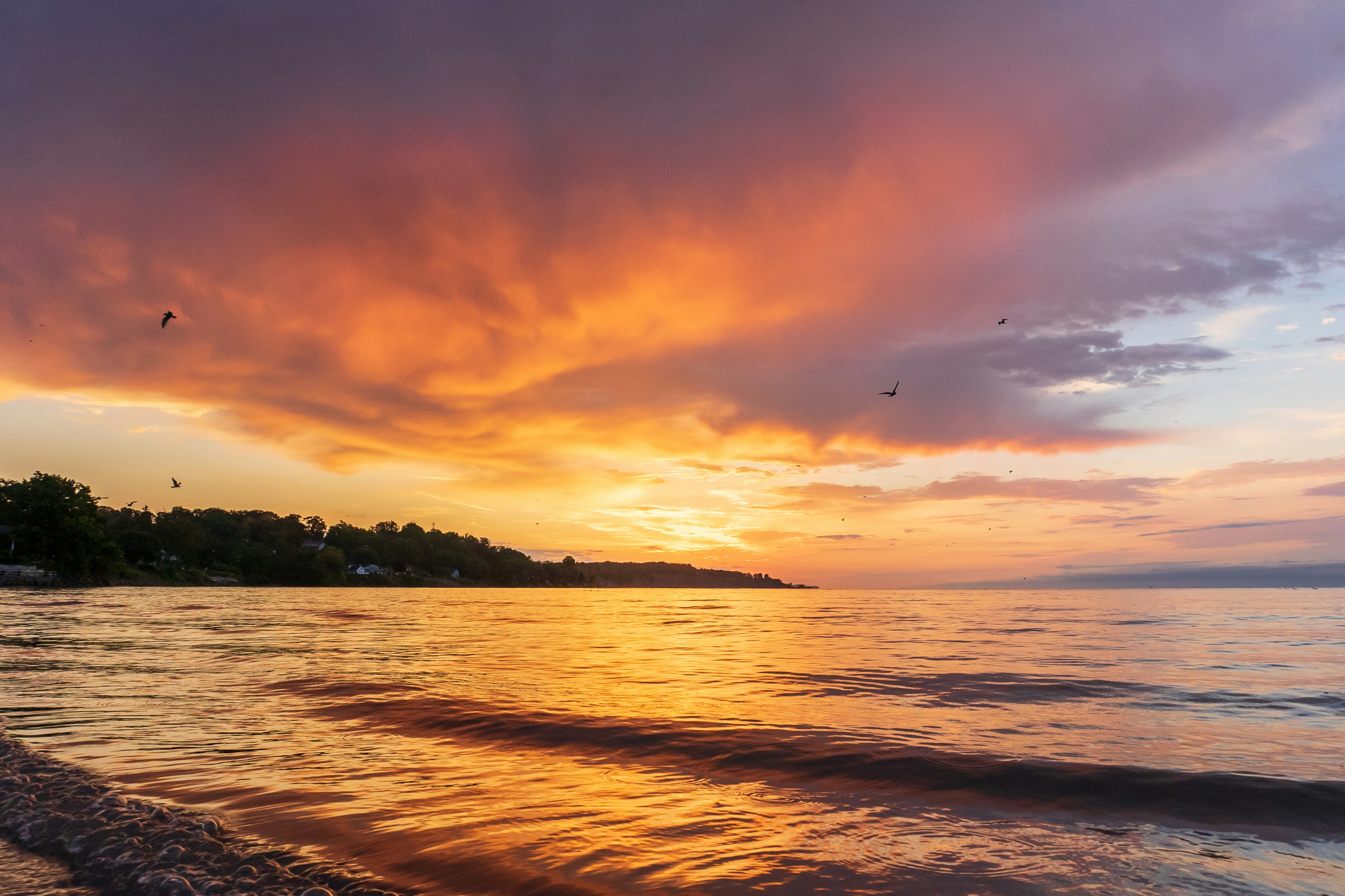 Photo by michael_g_krahn