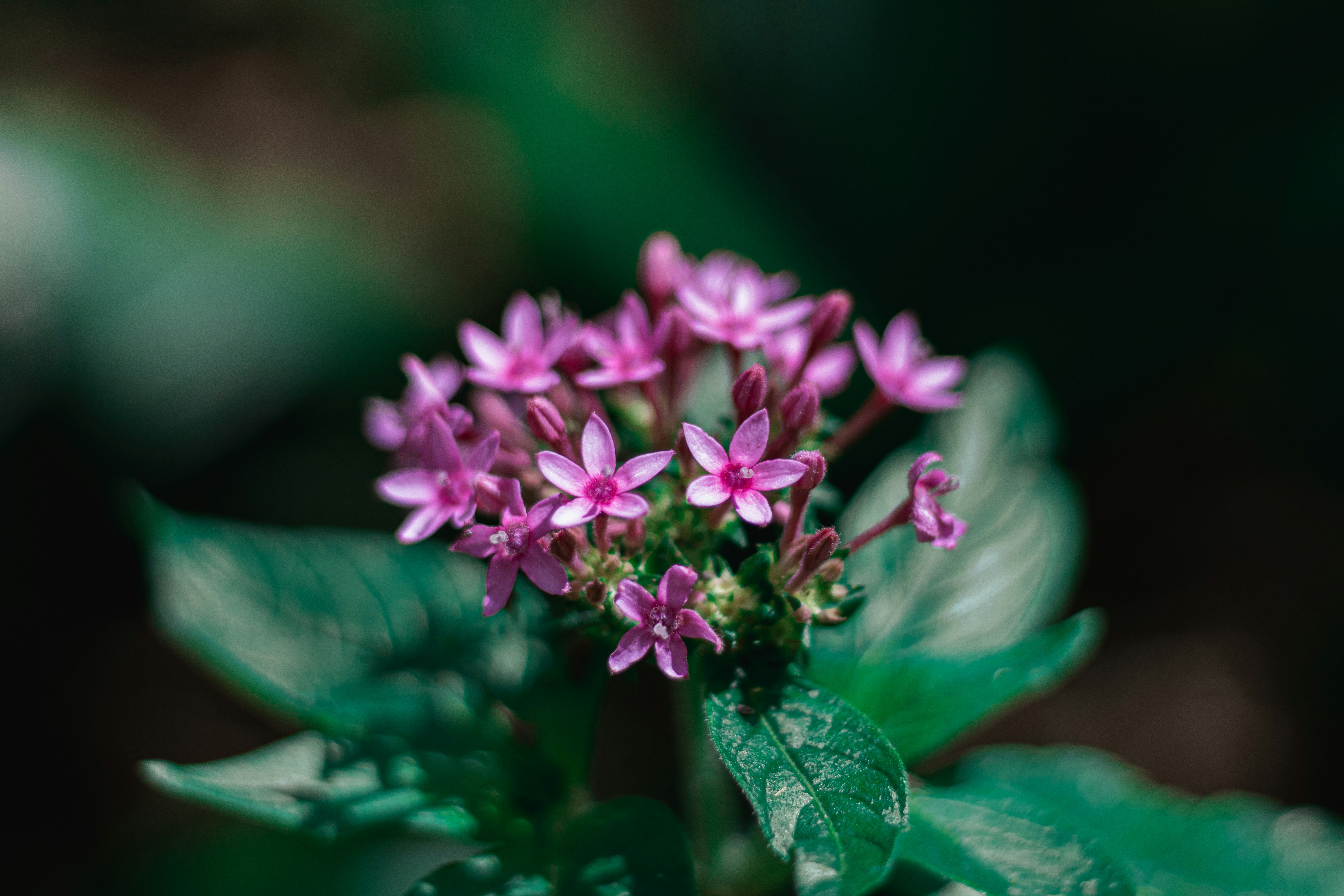 Photo by gabrieluizramos