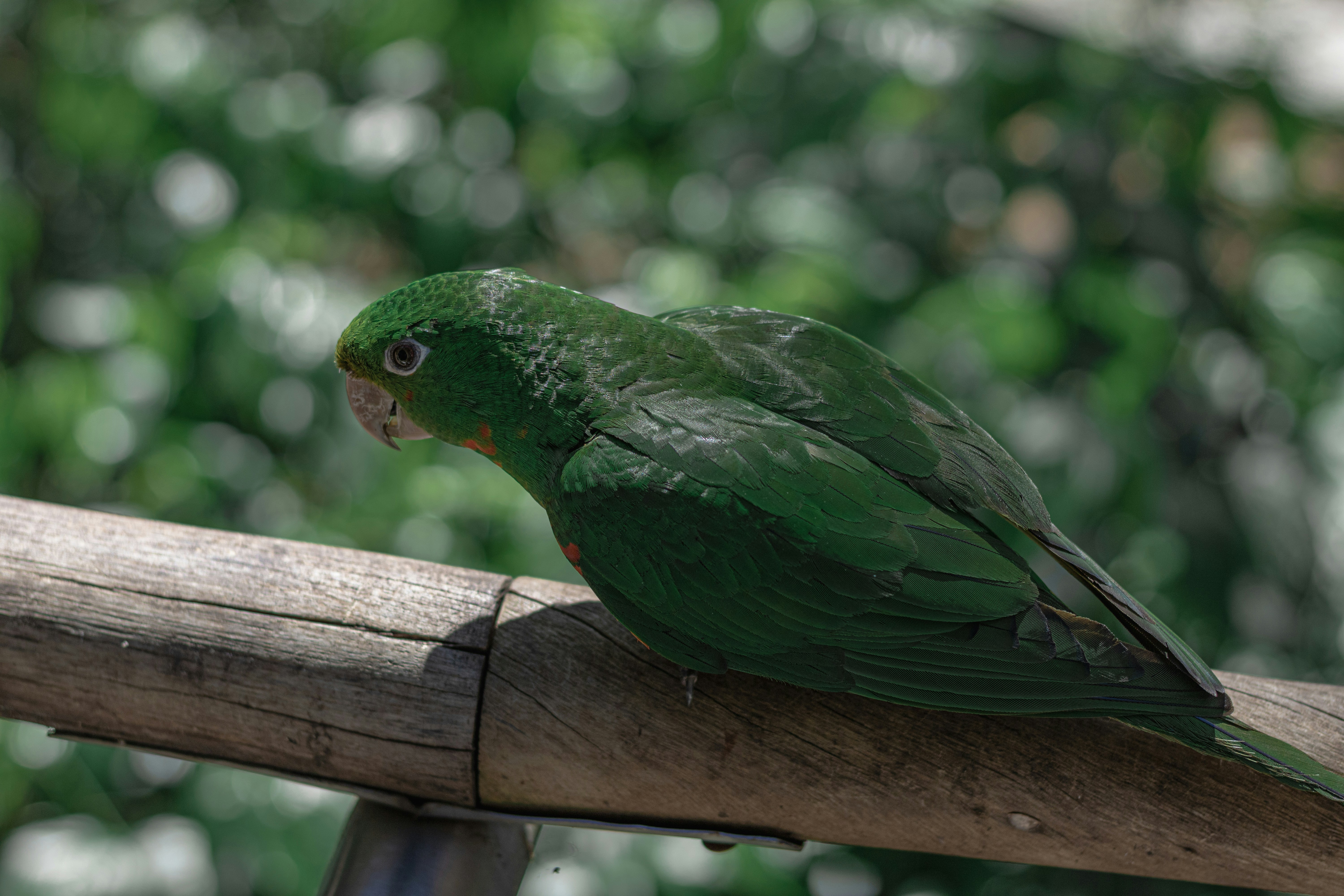 Photo by gabrieluizramos