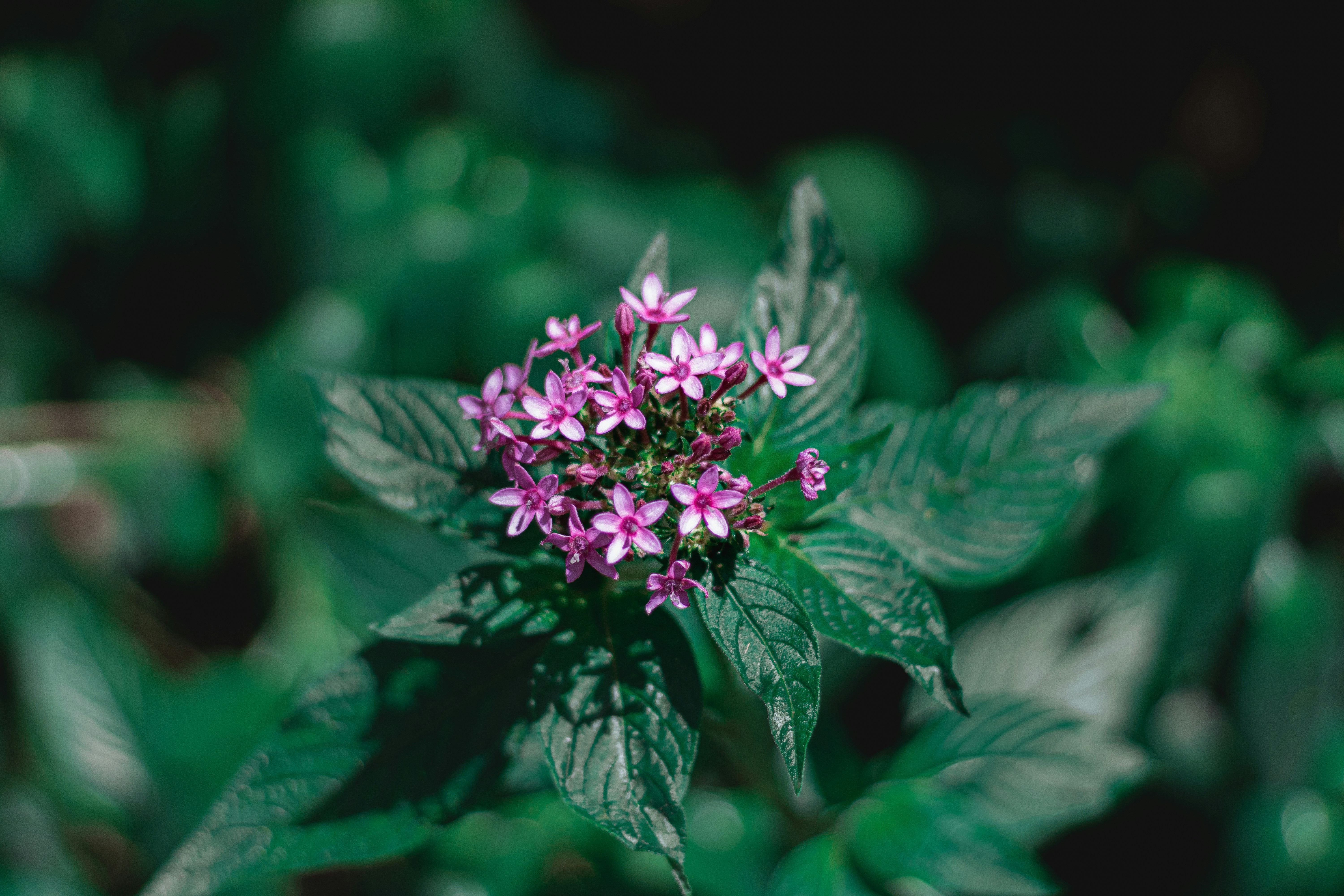 Photo by gabrieluizramos