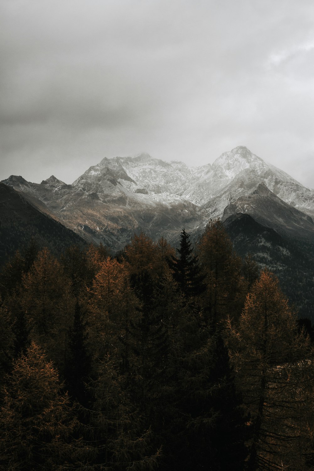 a view of a mountain range with trees in the foreground