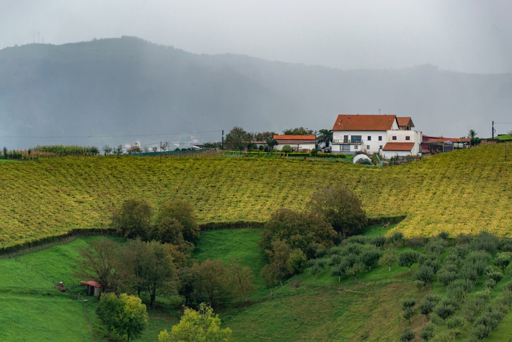 a house on a hill surrounded by trees