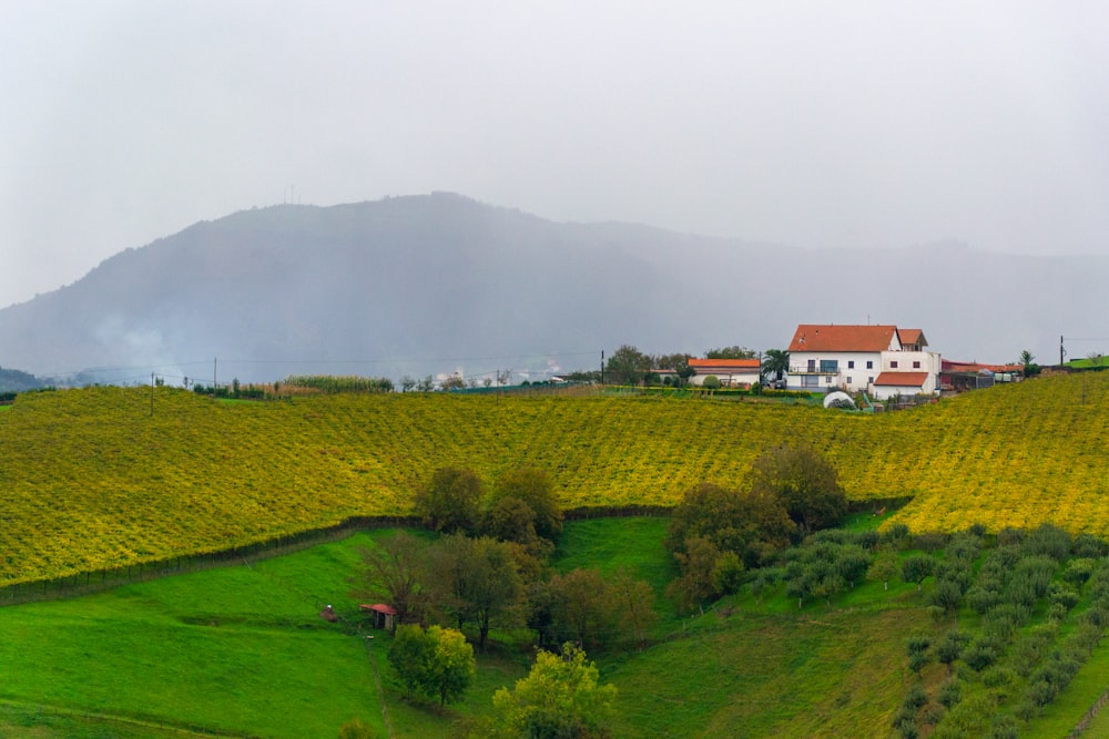 a house in the middle of a green field