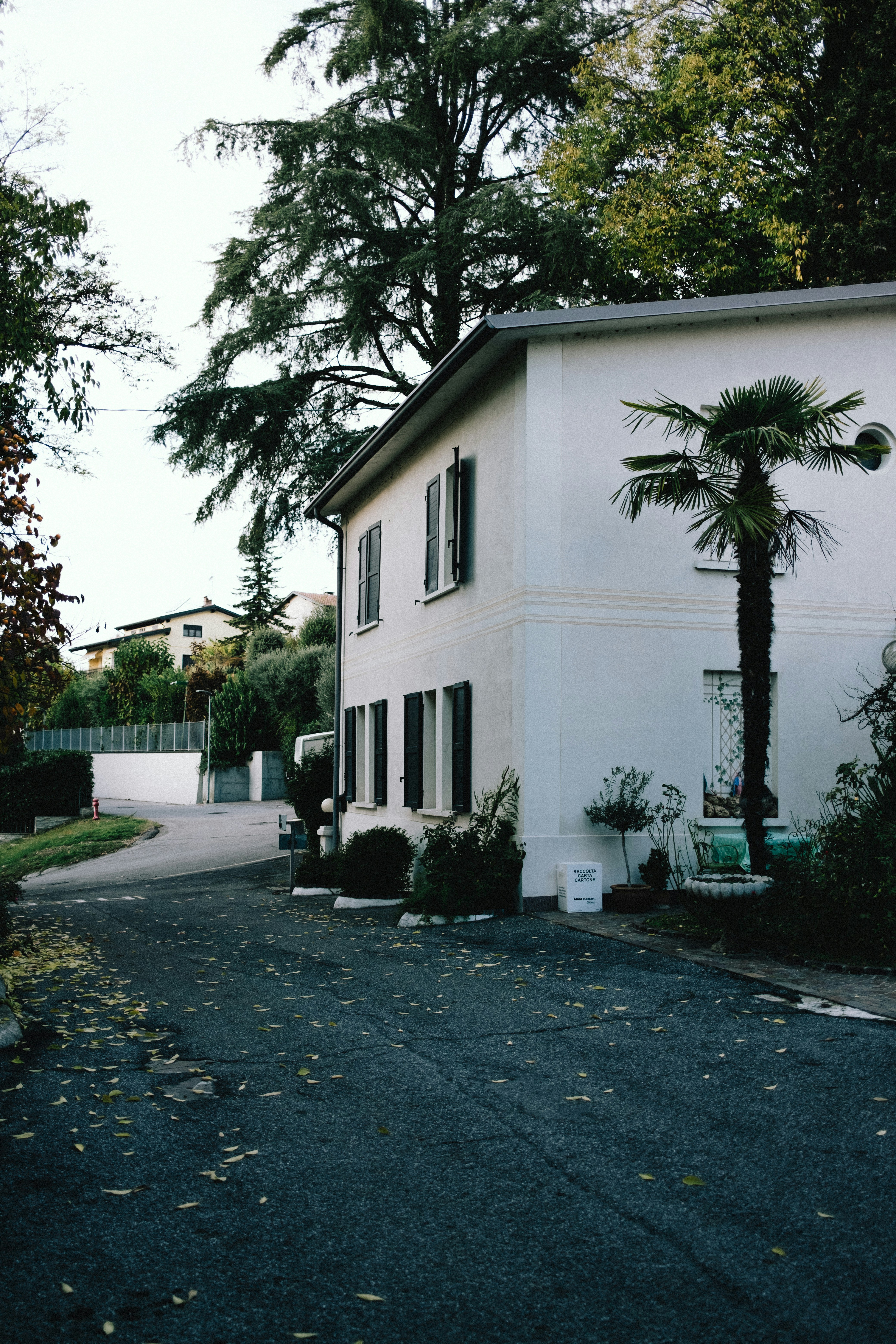 Photo by lawlesscapture