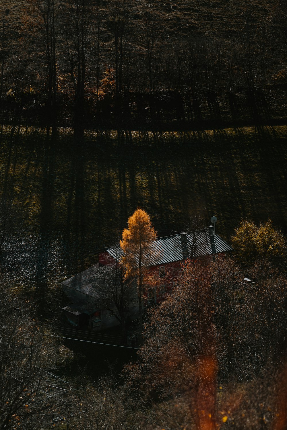 uma casa no meio de um campo cercado por árvores