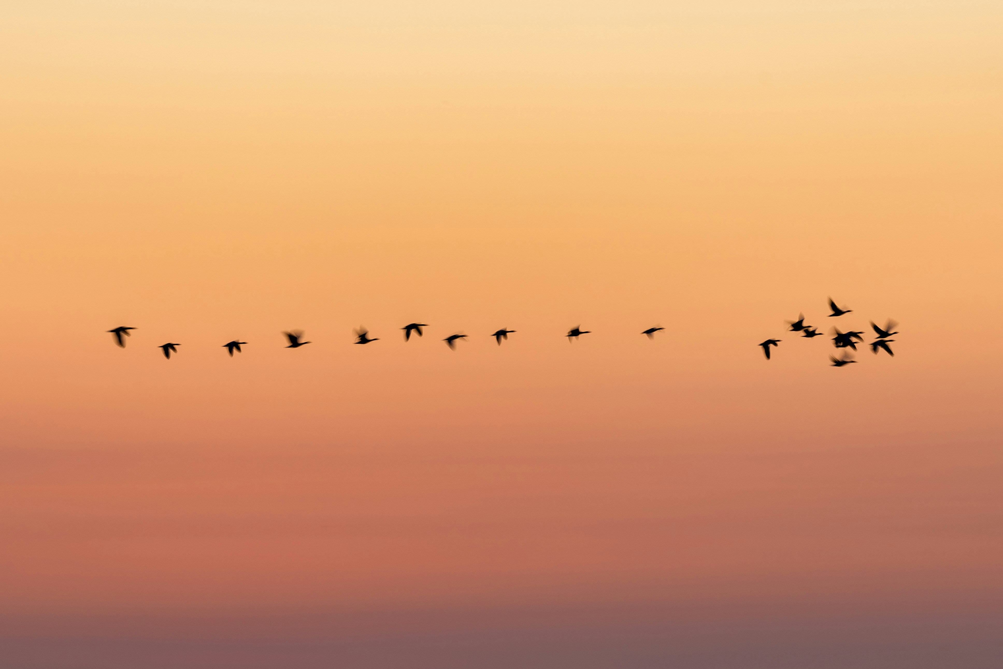 Migrácia na výkonnejší hardware