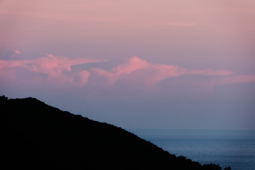 a bird flying over a hill with a body of water in the background