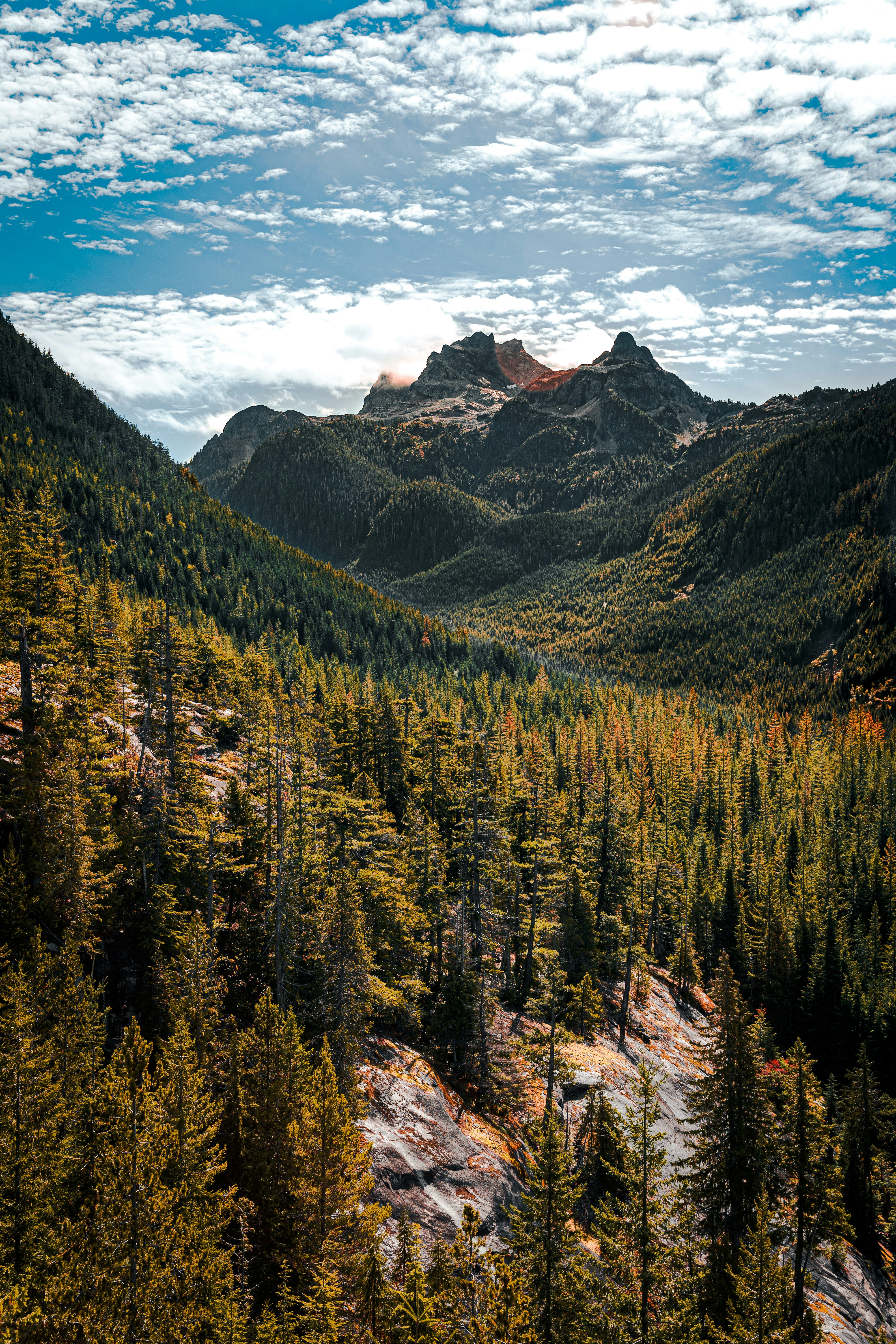 a scenic view of a mountain range with trees in the foreground