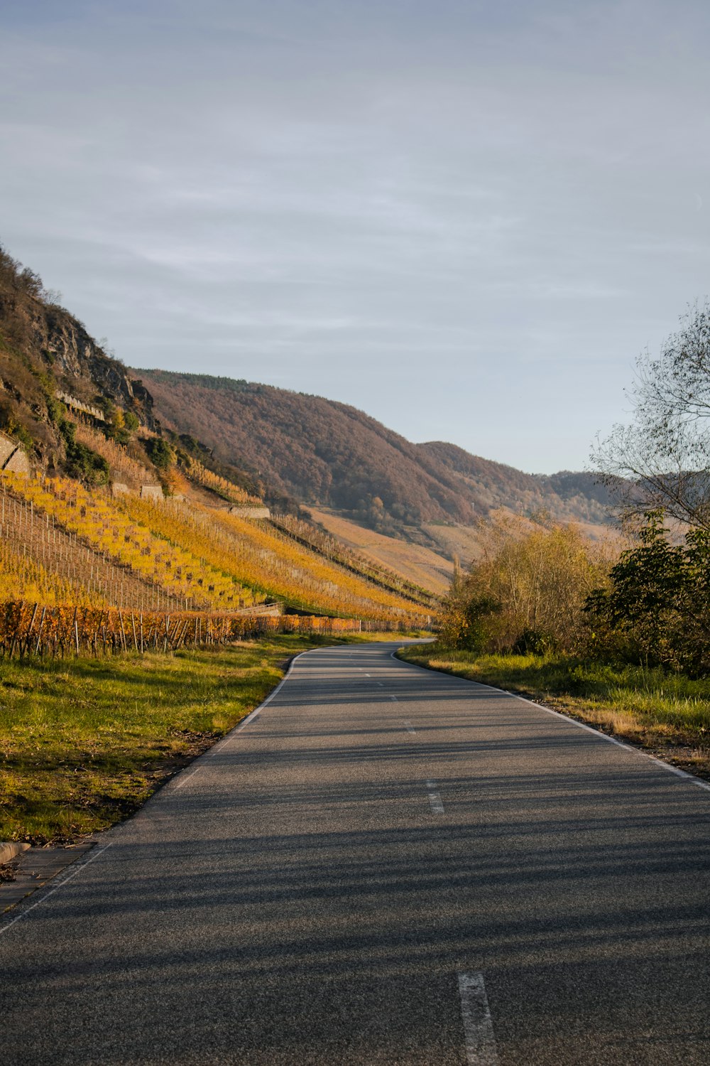 an empty road with a hill in the background