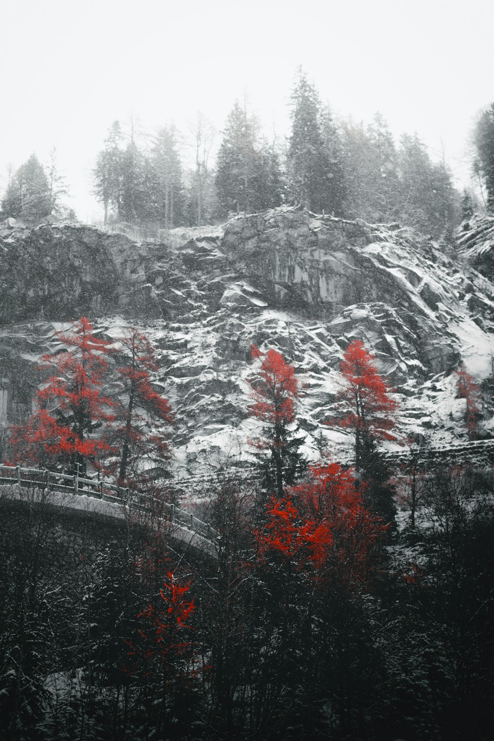 a mountain covered in snow and red trees