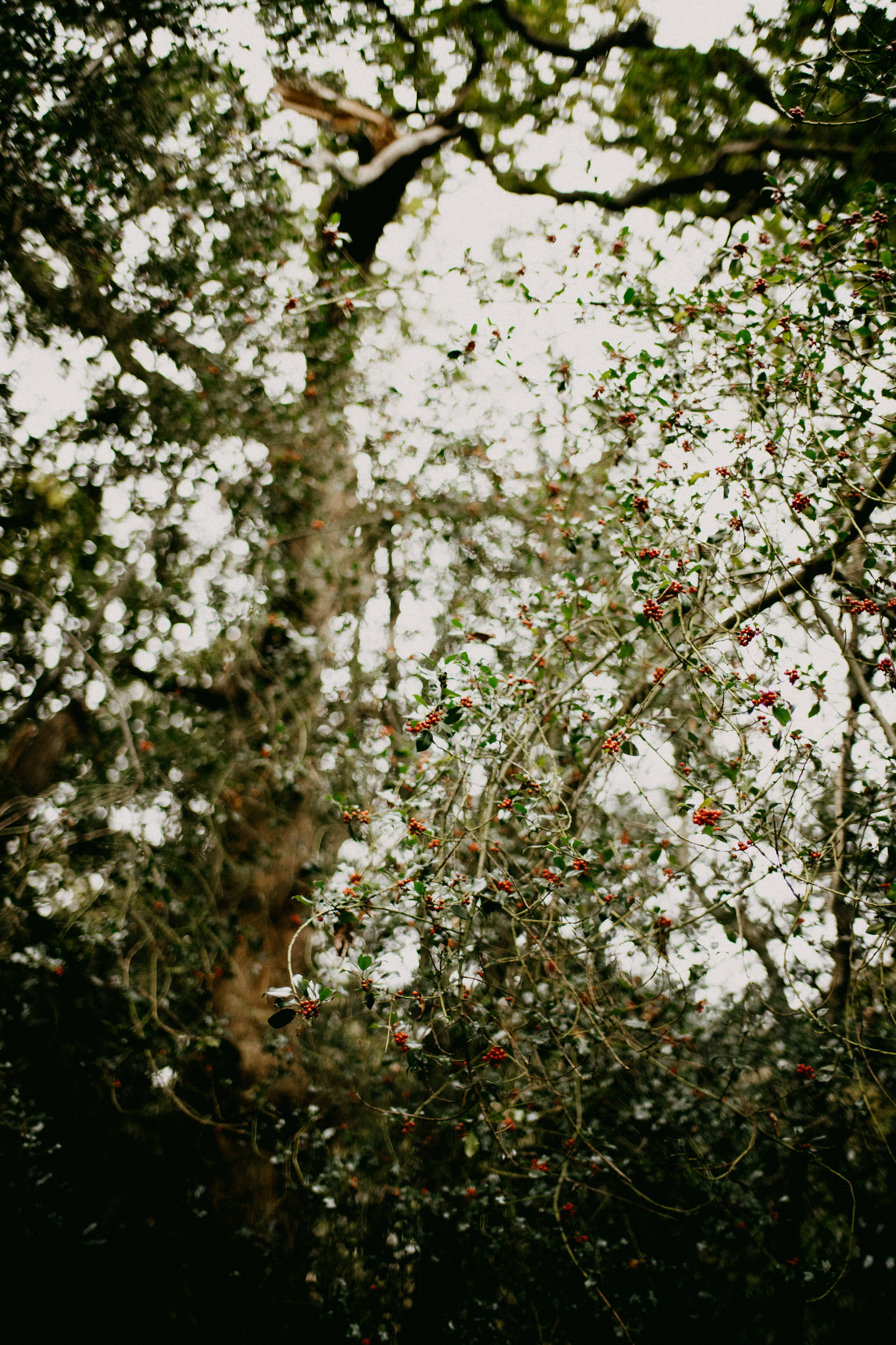 Photo by anniespratt