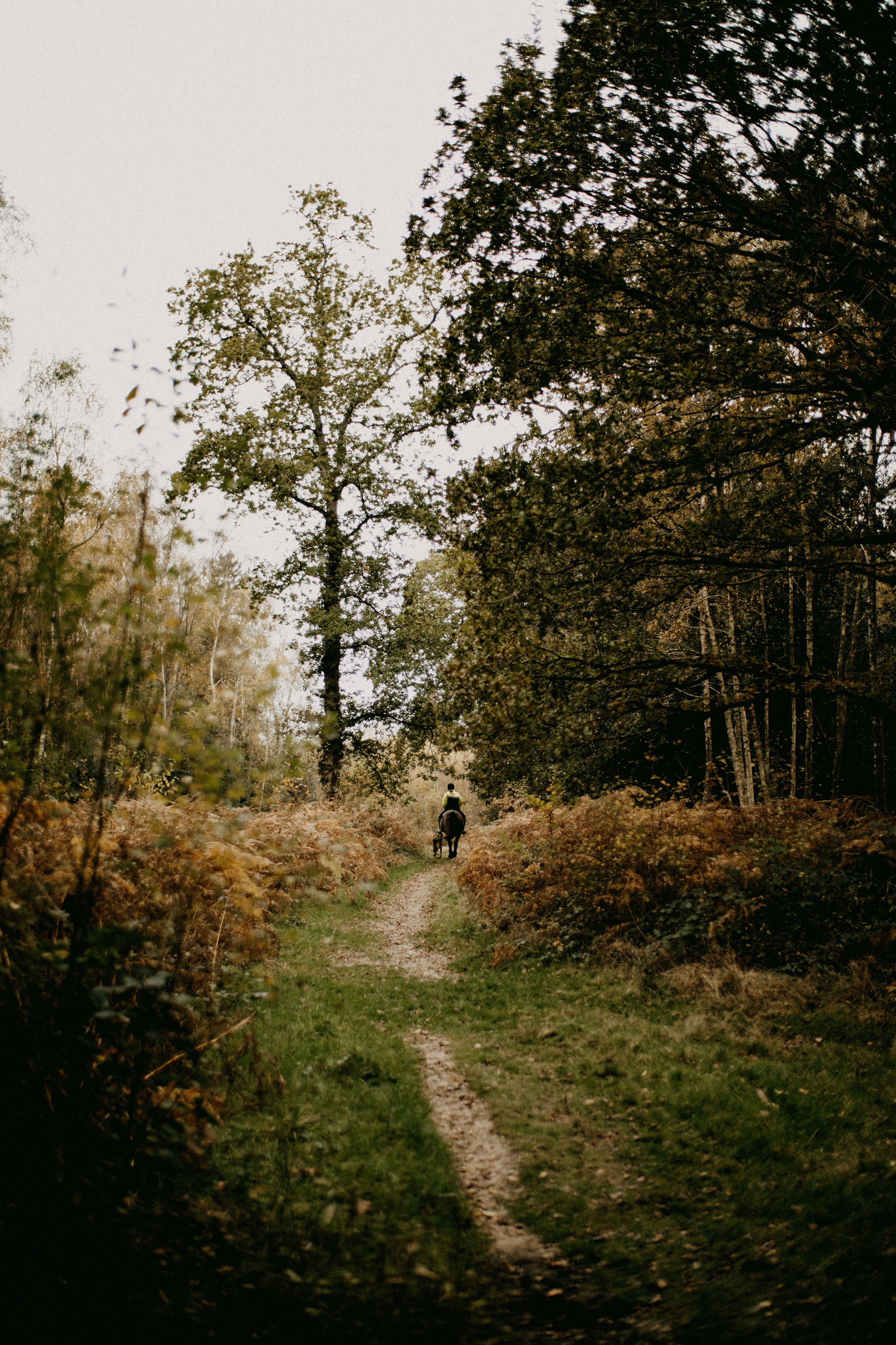 Photo by anniespratt