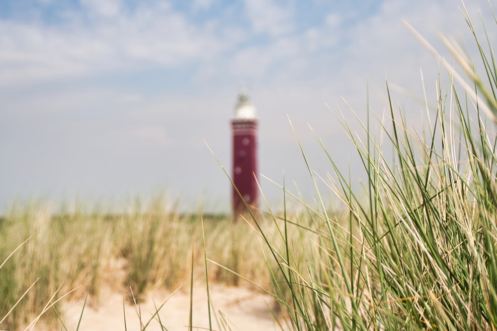 a red and white fire hydrant sitting in the sand