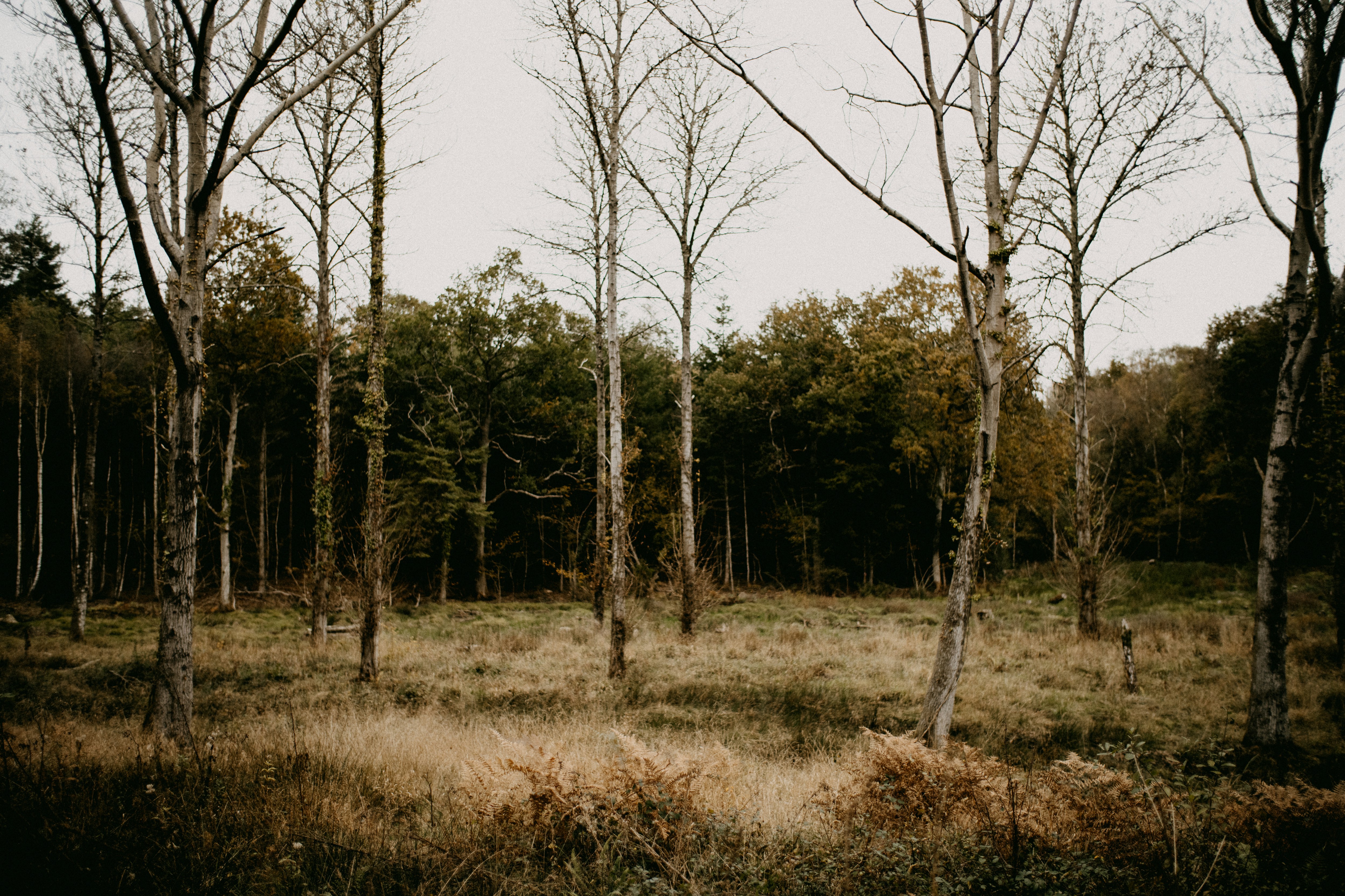 Photo by anniespratt