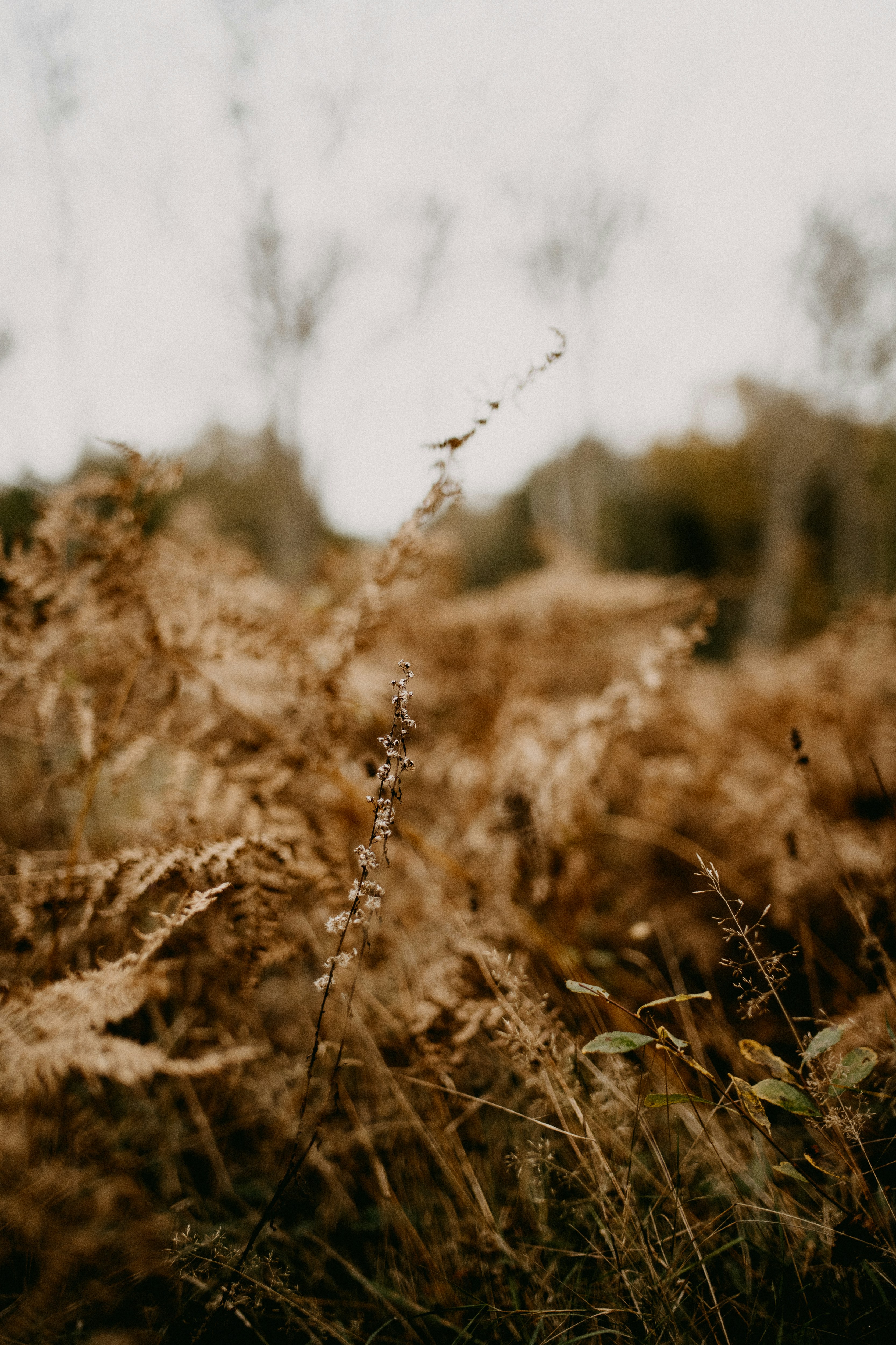 Photo by anniespratt