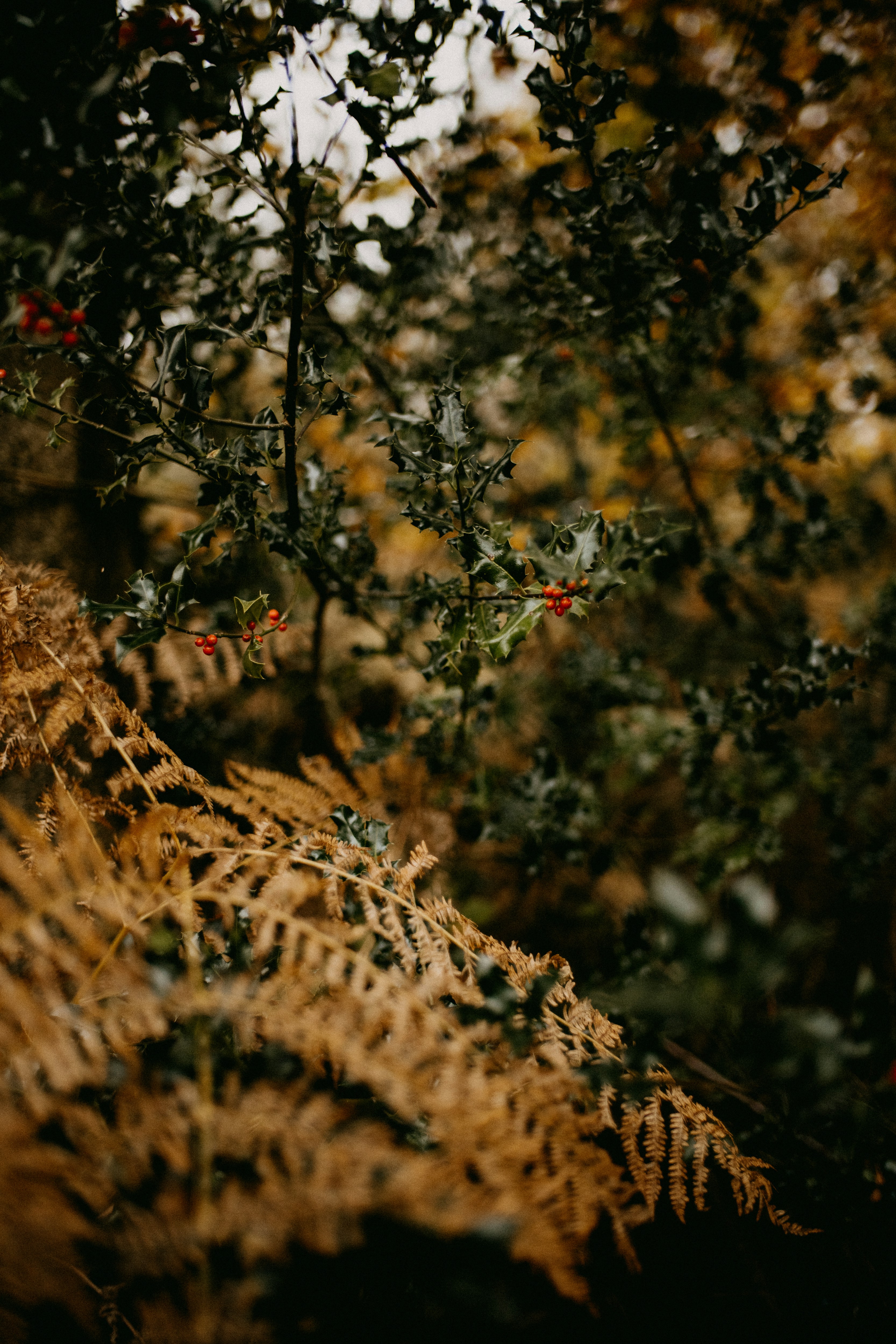 Photo by anniespratt