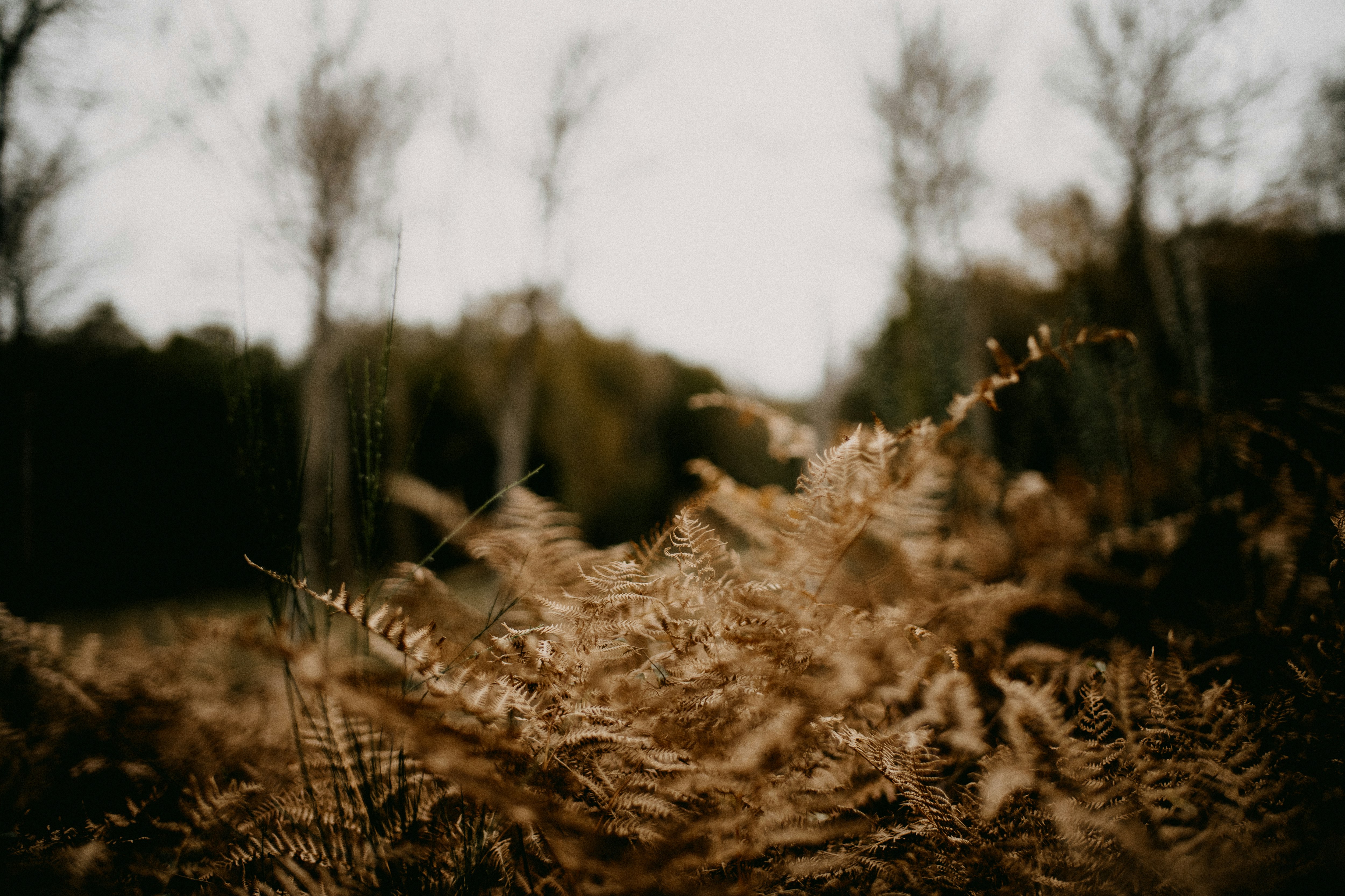 Photo by anniespratt